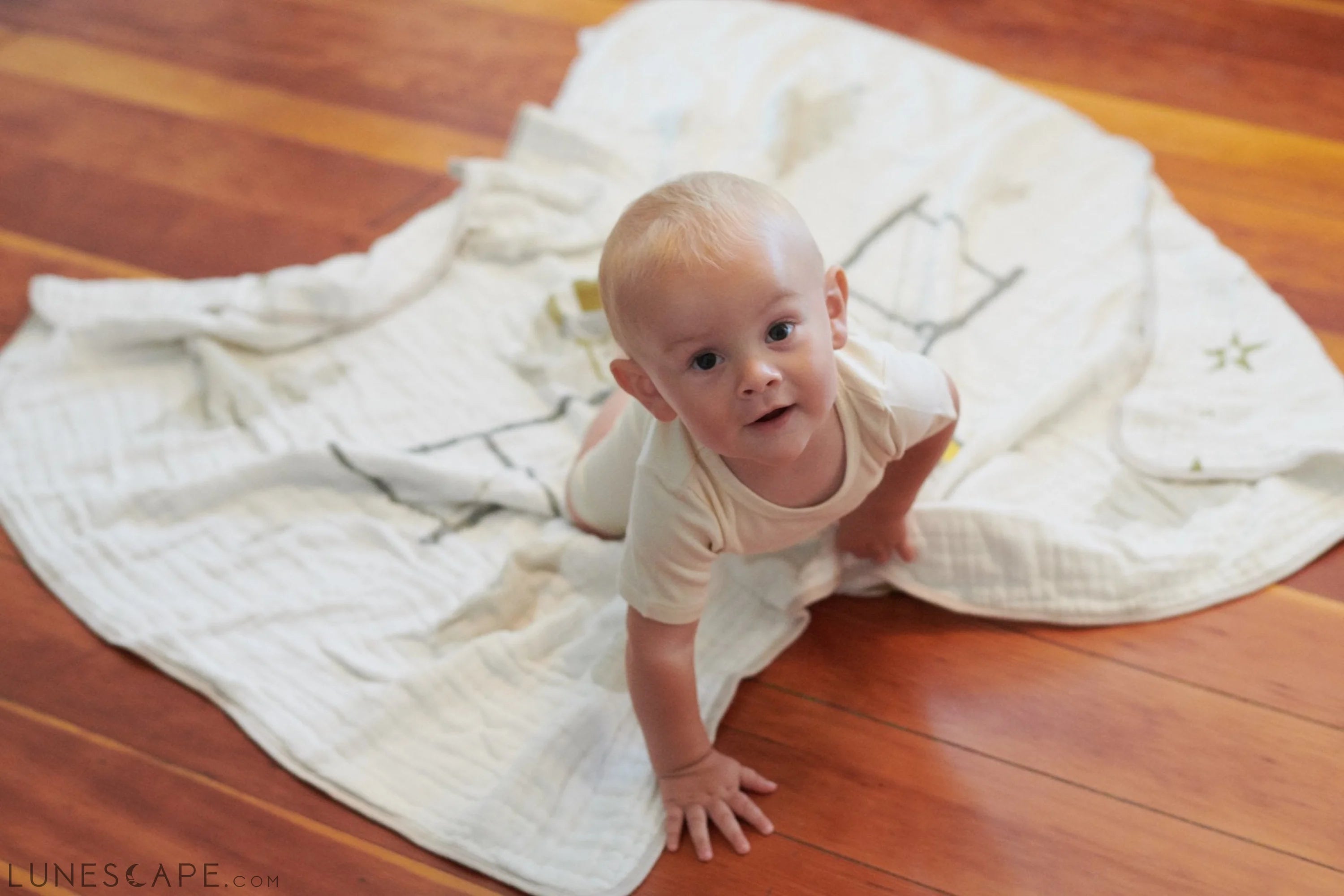 Flying Elephant Cotton Muslin Newcastle Blanket LUNESCAPE