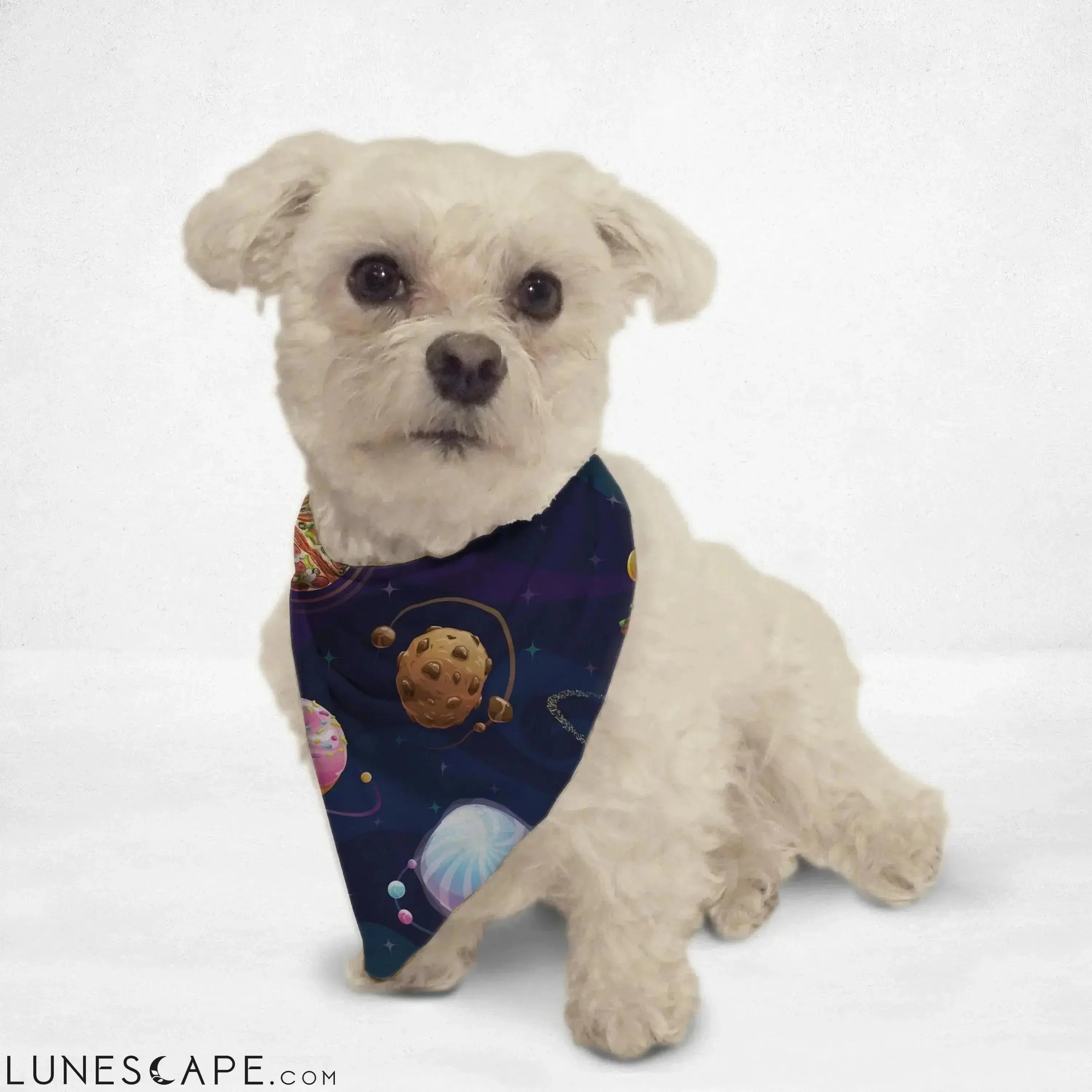 Food Planets Cat Bandana LUNESCAPE