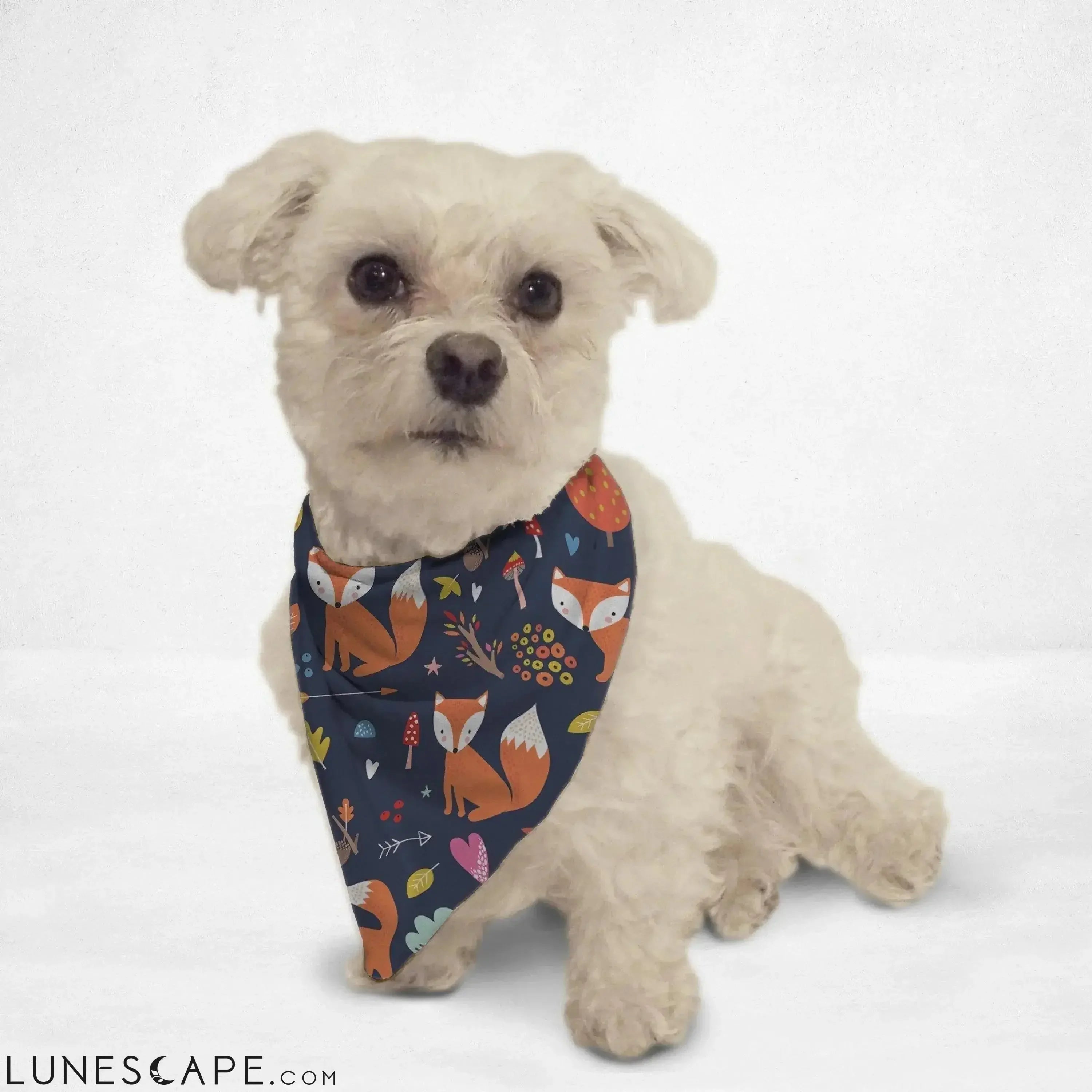 Foxy Fall Cat Bandana LUNESCAPE