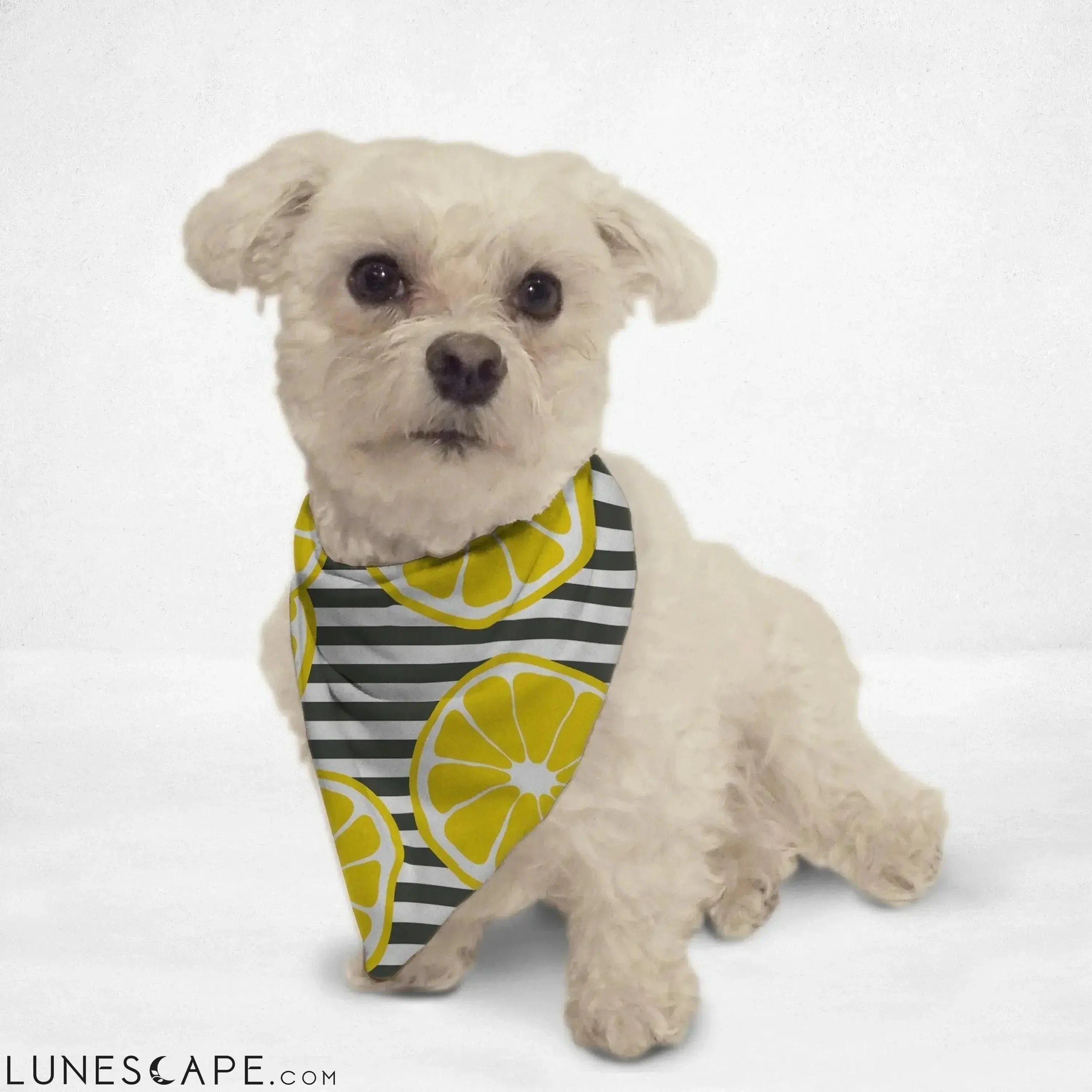 Fresh Lemons Cat & Dog Bandana LUNESCAPE