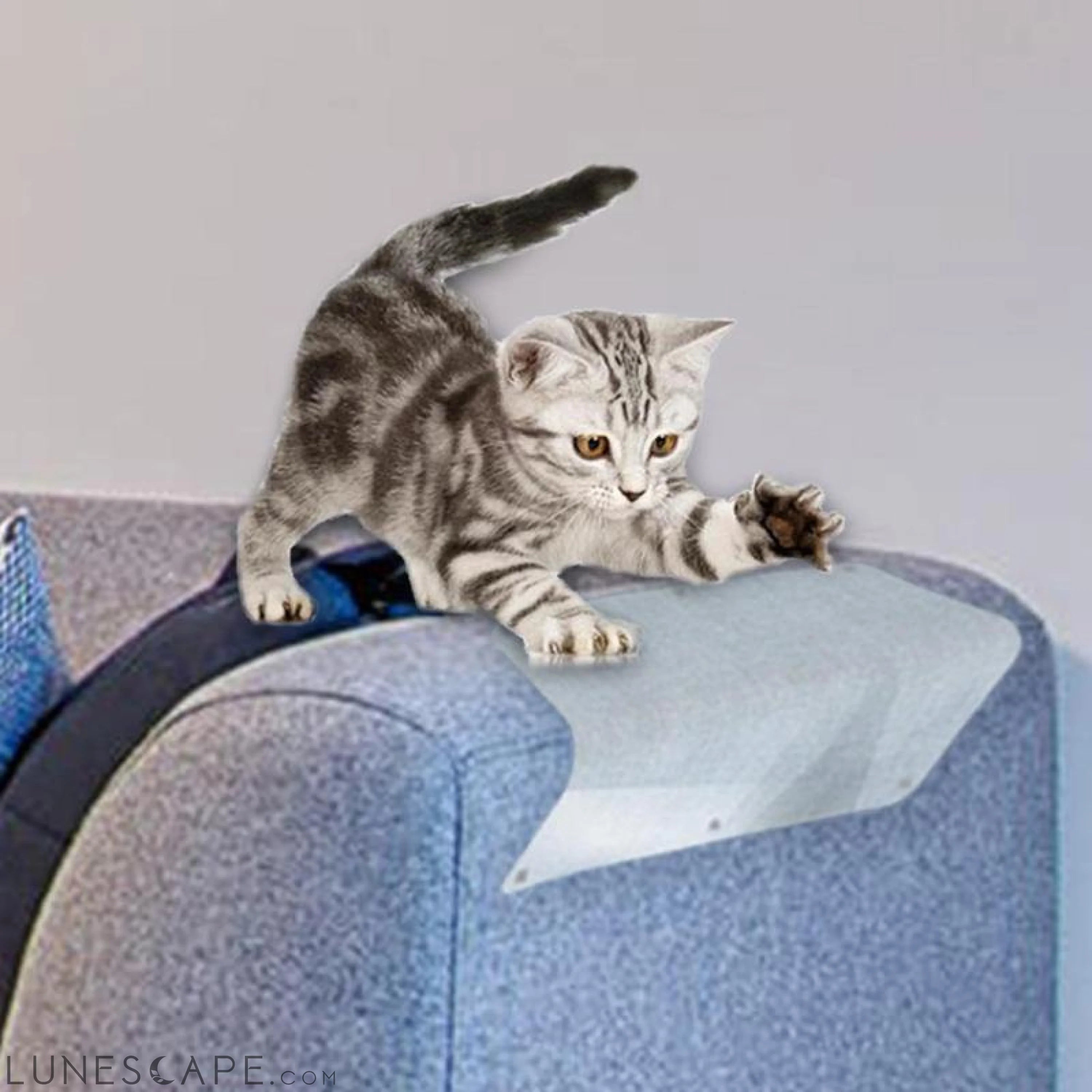 Furniture Shield Cat Scratcher - 2 Pcs. LUNESCAPE