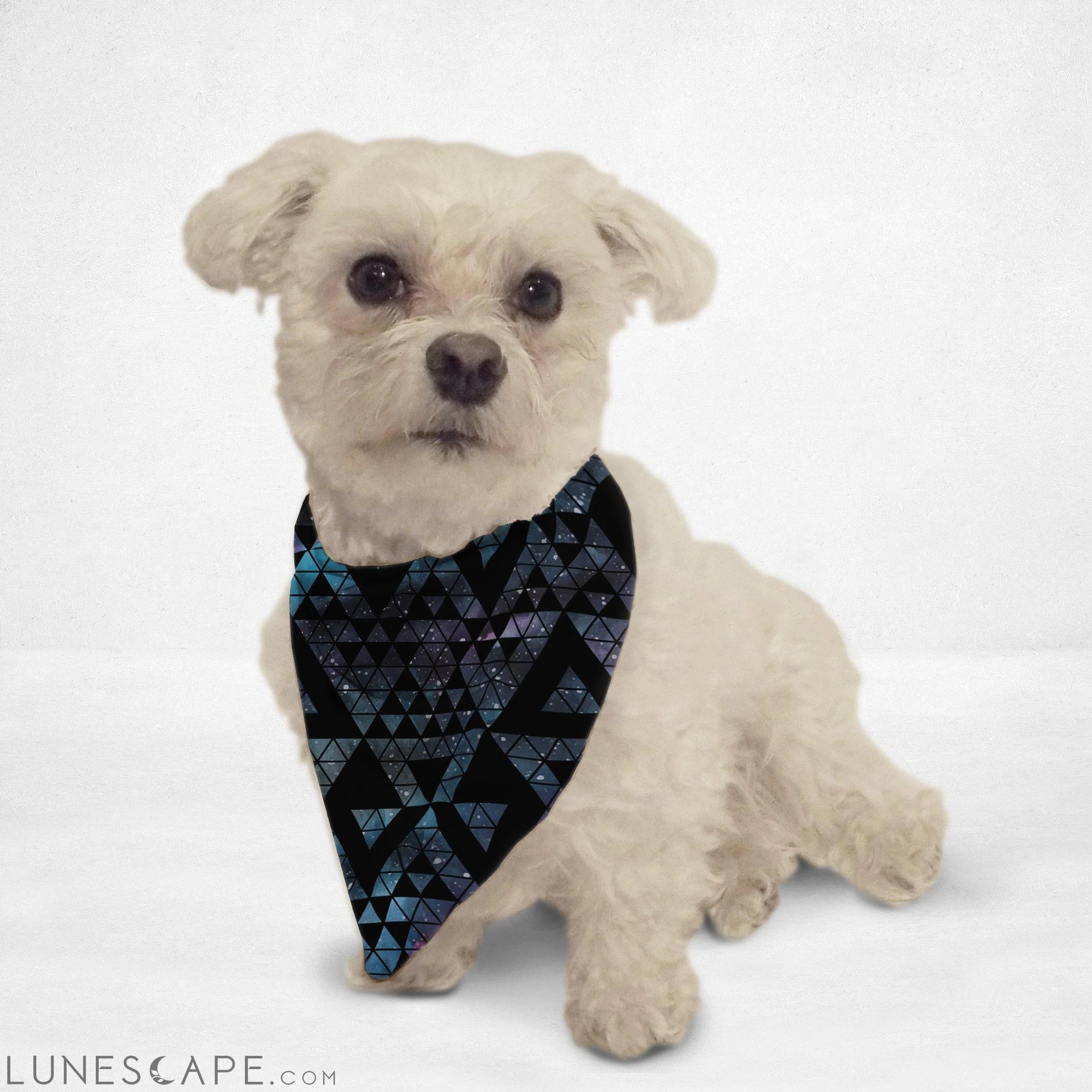 Galaxy Triangles Cat Bandana LUNESCAPE