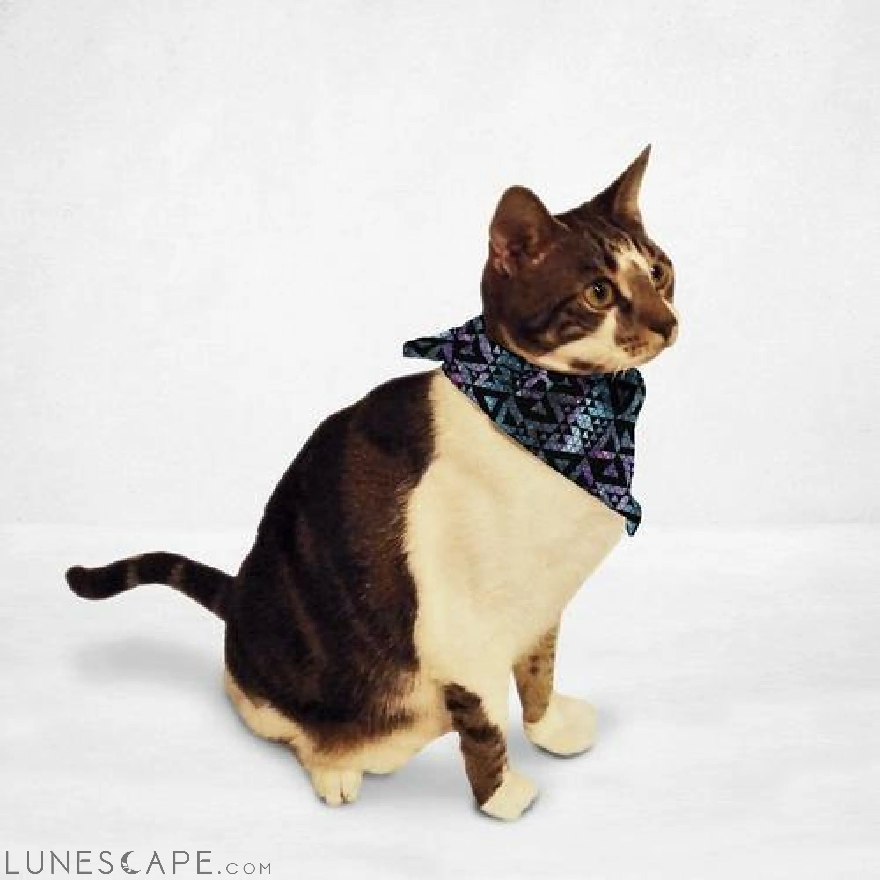 Galaxy Triangles Cat Bandana LUNESCAPE