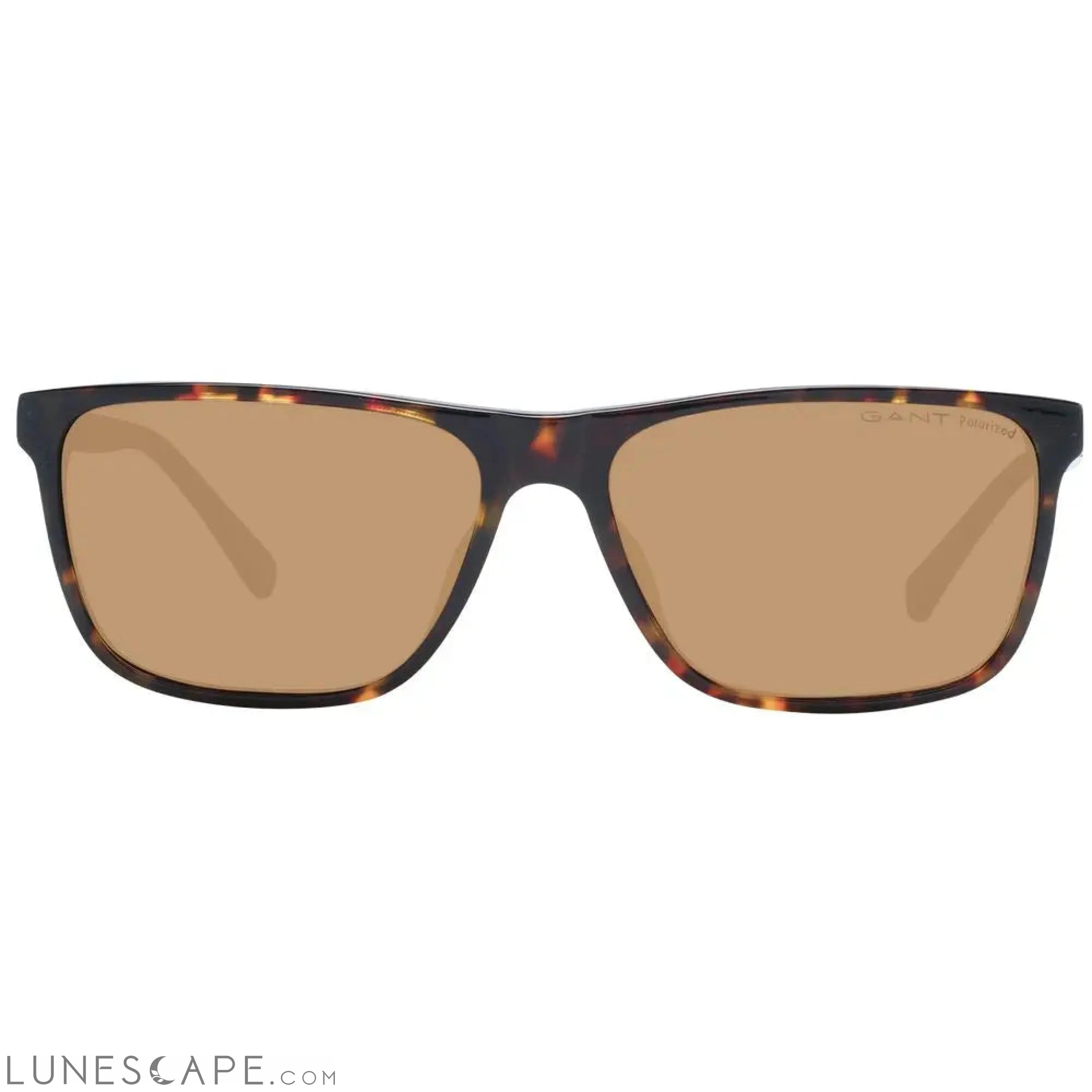 Gant Brown Men Sunglasses LUNESCAPE