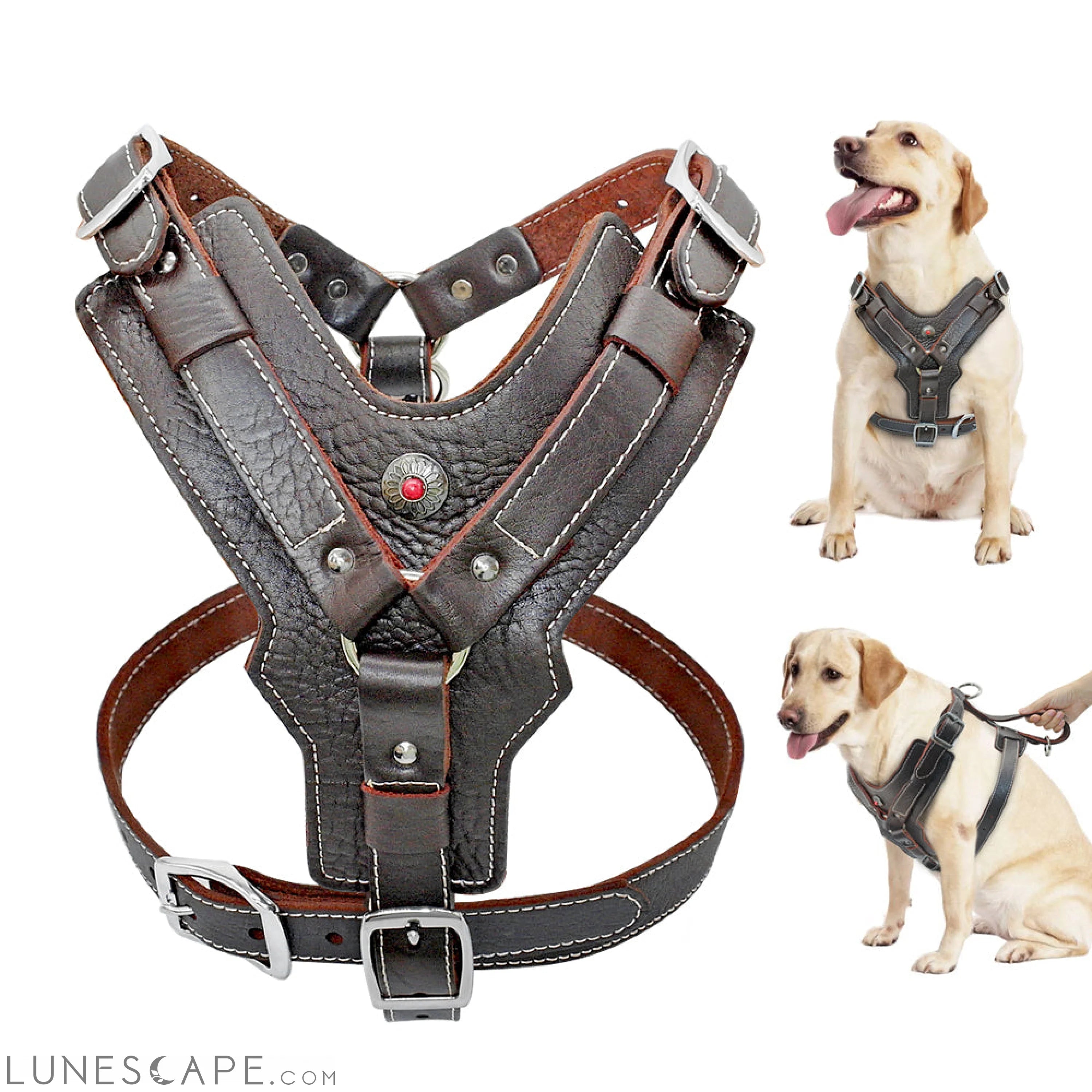 Genuine Leather Harness for Large Dogs LUNESCAPE