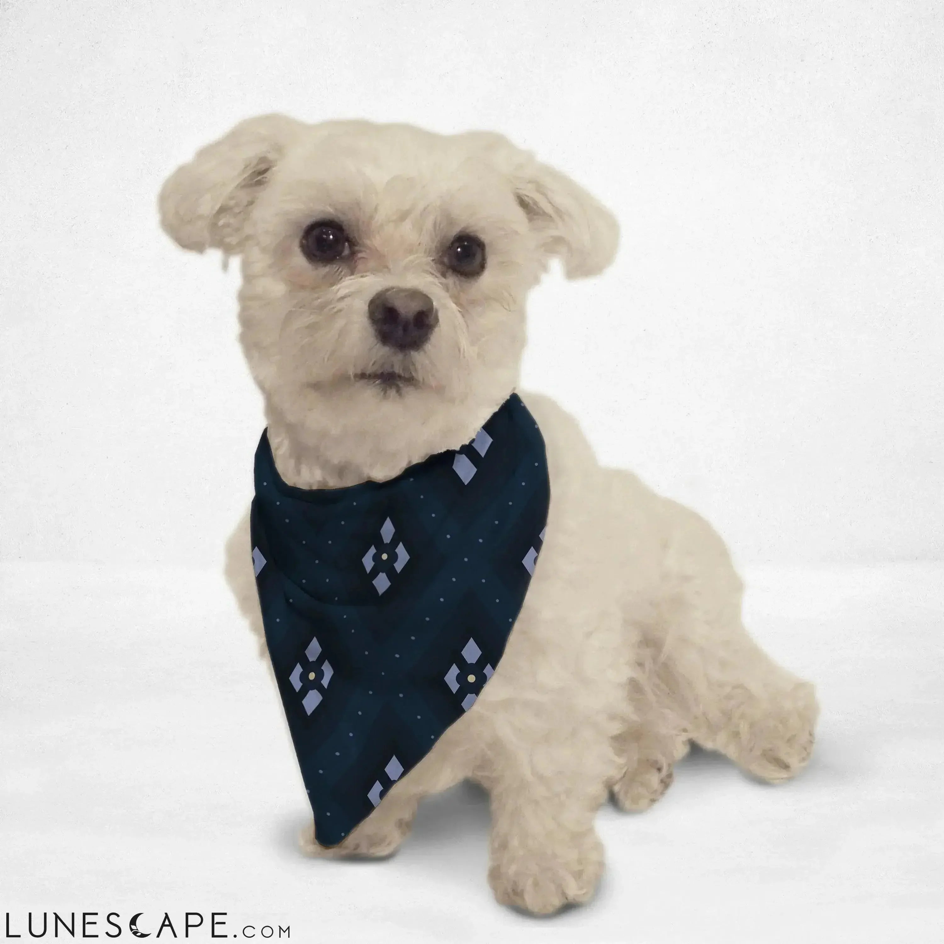 Geometric Argyle Cat & Dog Bandana LUNESCAPE