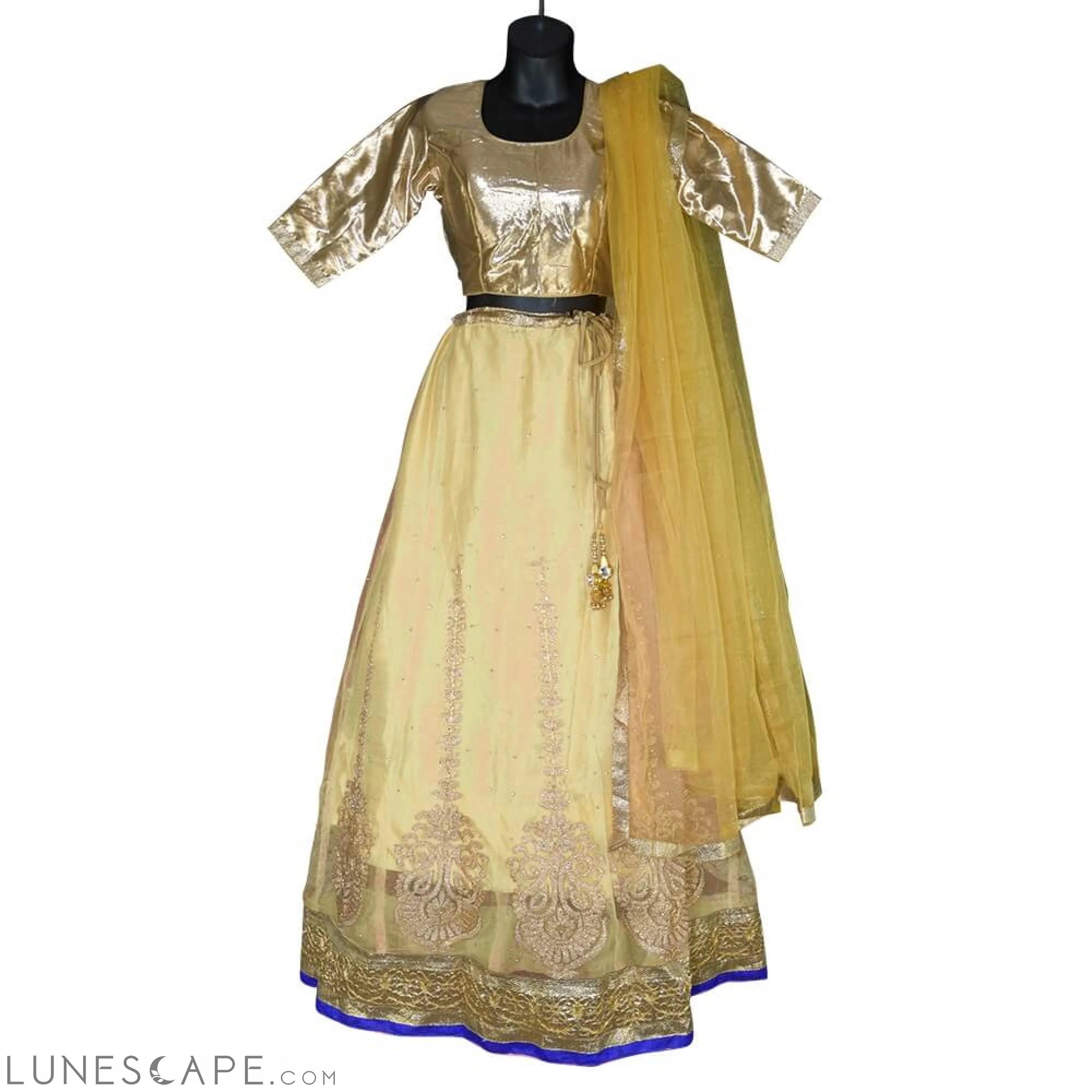 Gold Blouse and Lehenga in Assorted Colors LUNESCAPE
