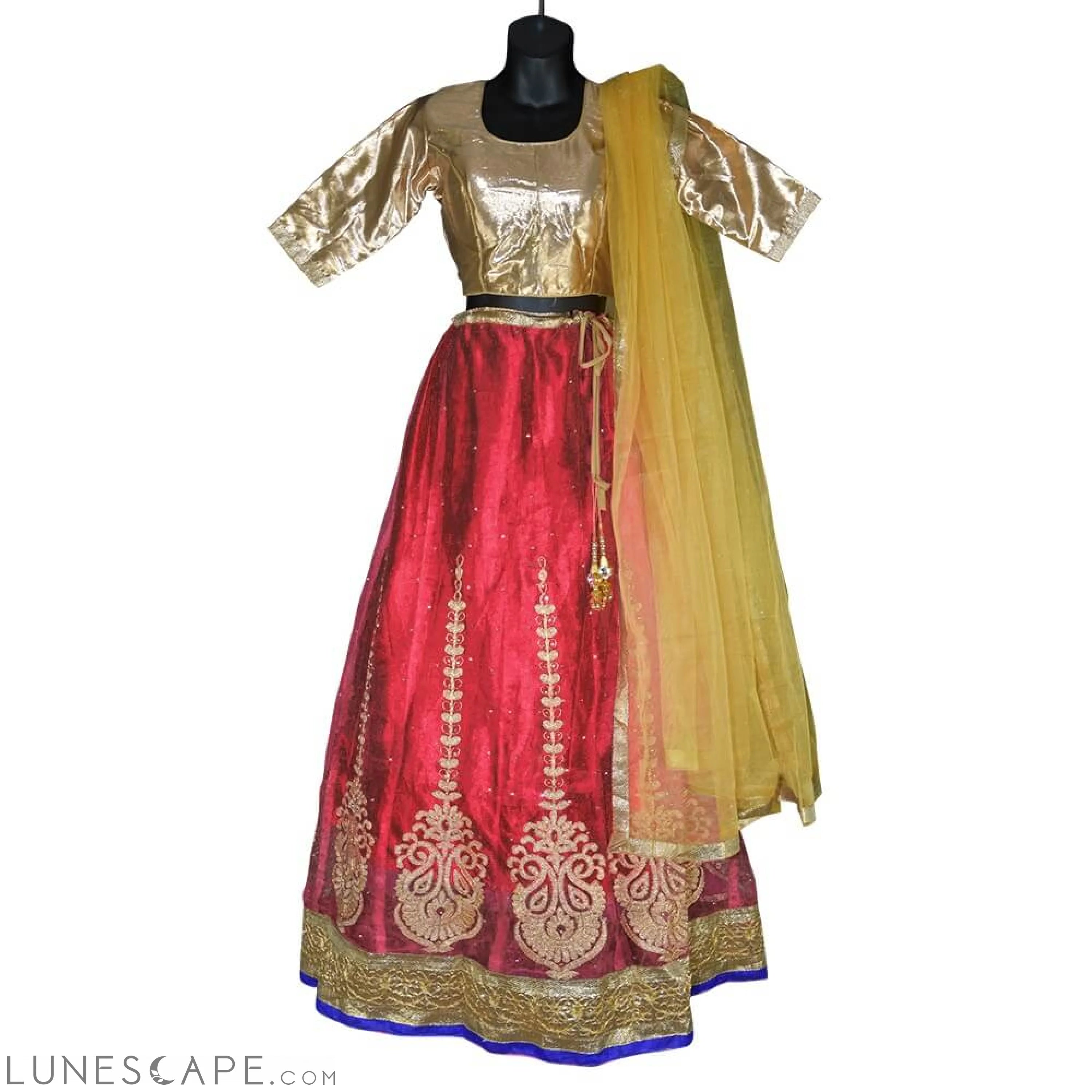 Gold Blouse and Lehenga in Assorted Colors LUNESCAPE