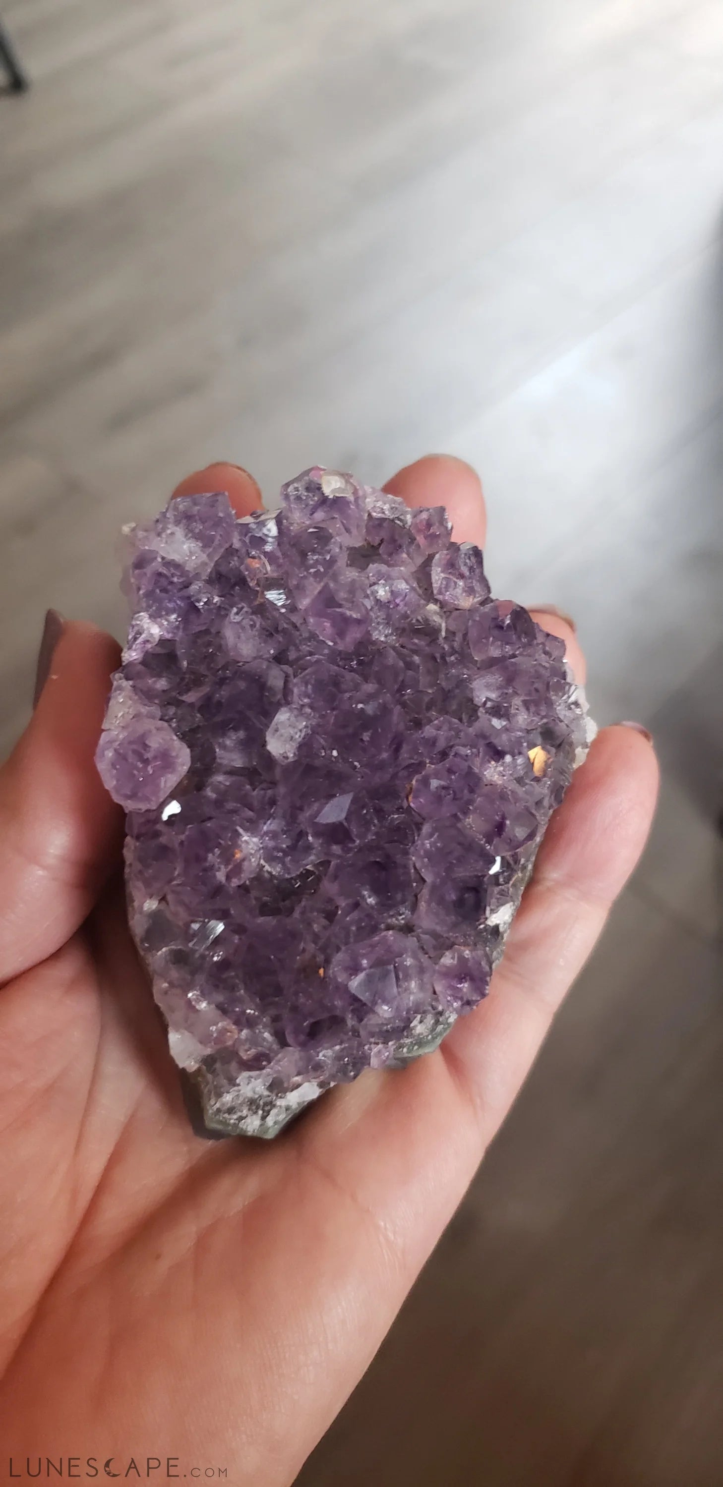 Grade a Amethyst Druzy Crystals LUNESCAPE
