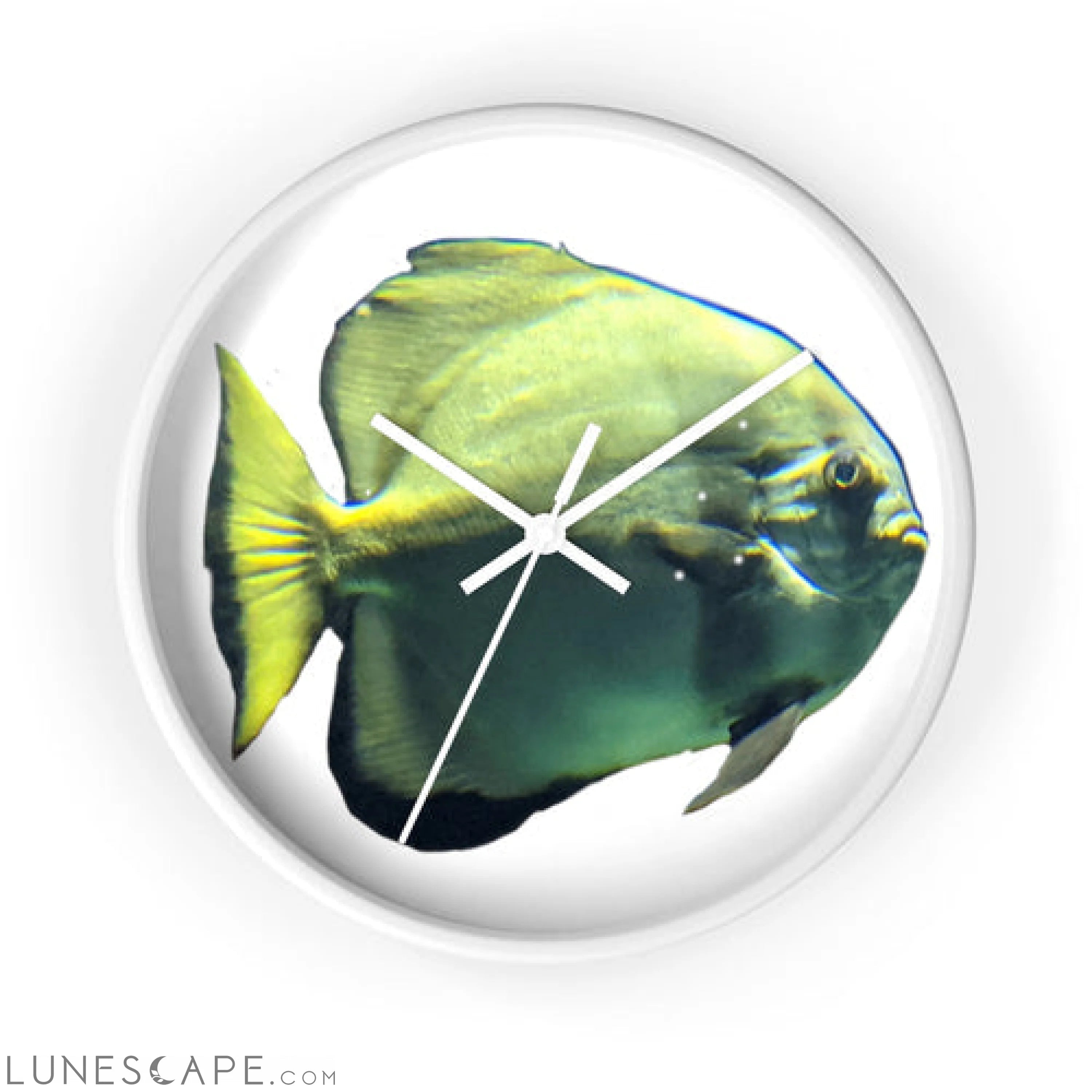 Green Fish Wall clock LUNESCAPE