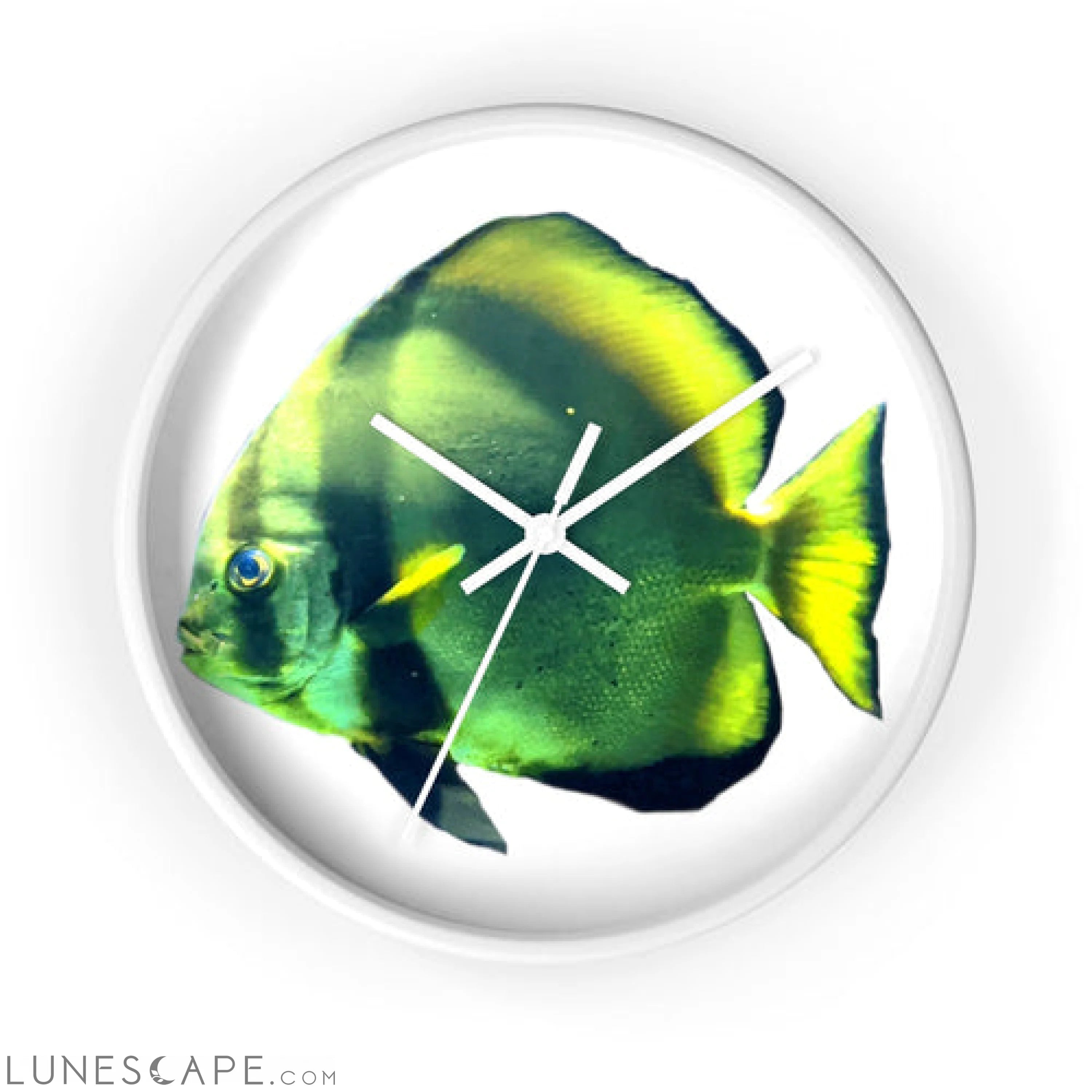Green Fish Wall clock LUNESCAPE
