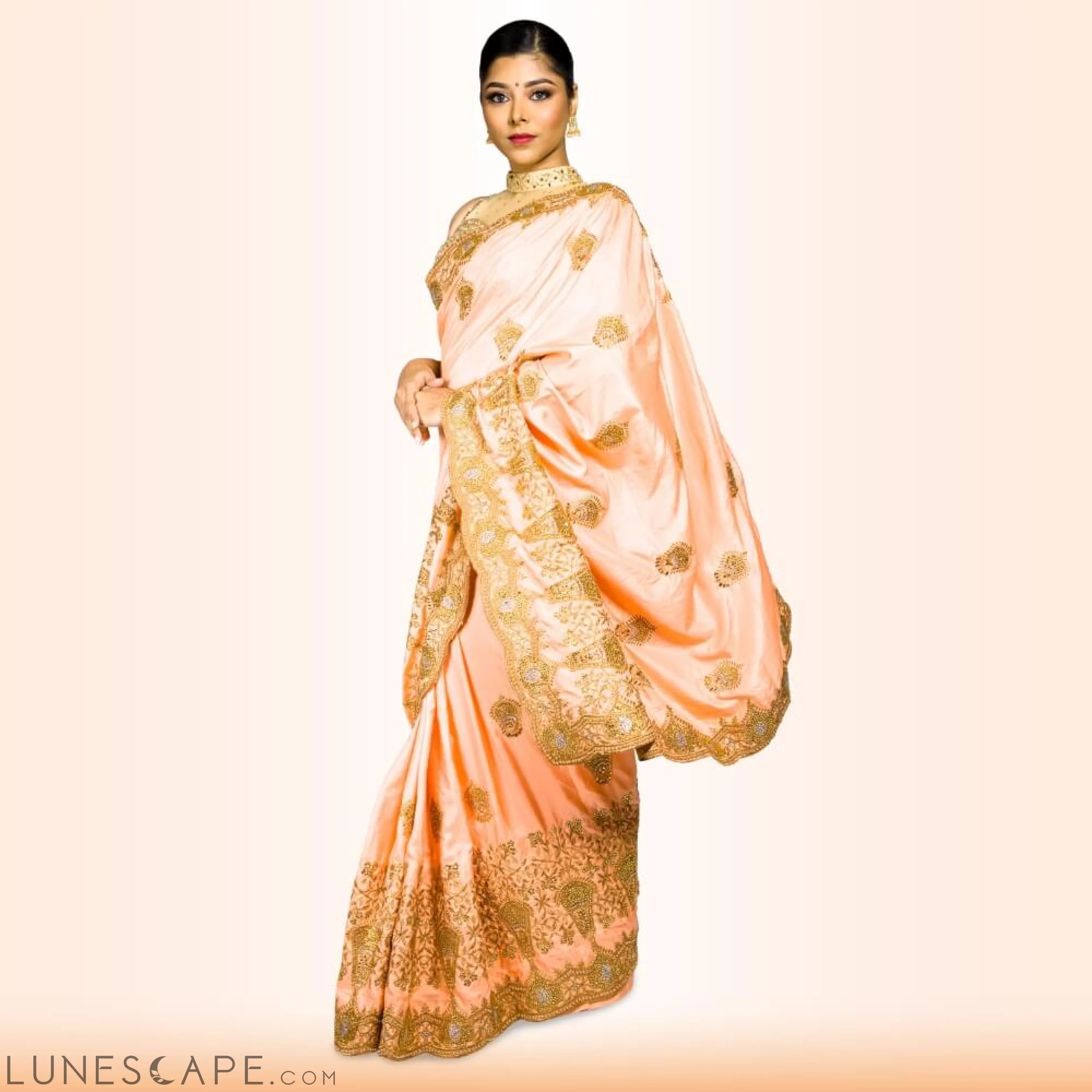 Heavy Embroidered Saree in Blush LUNESCAPE