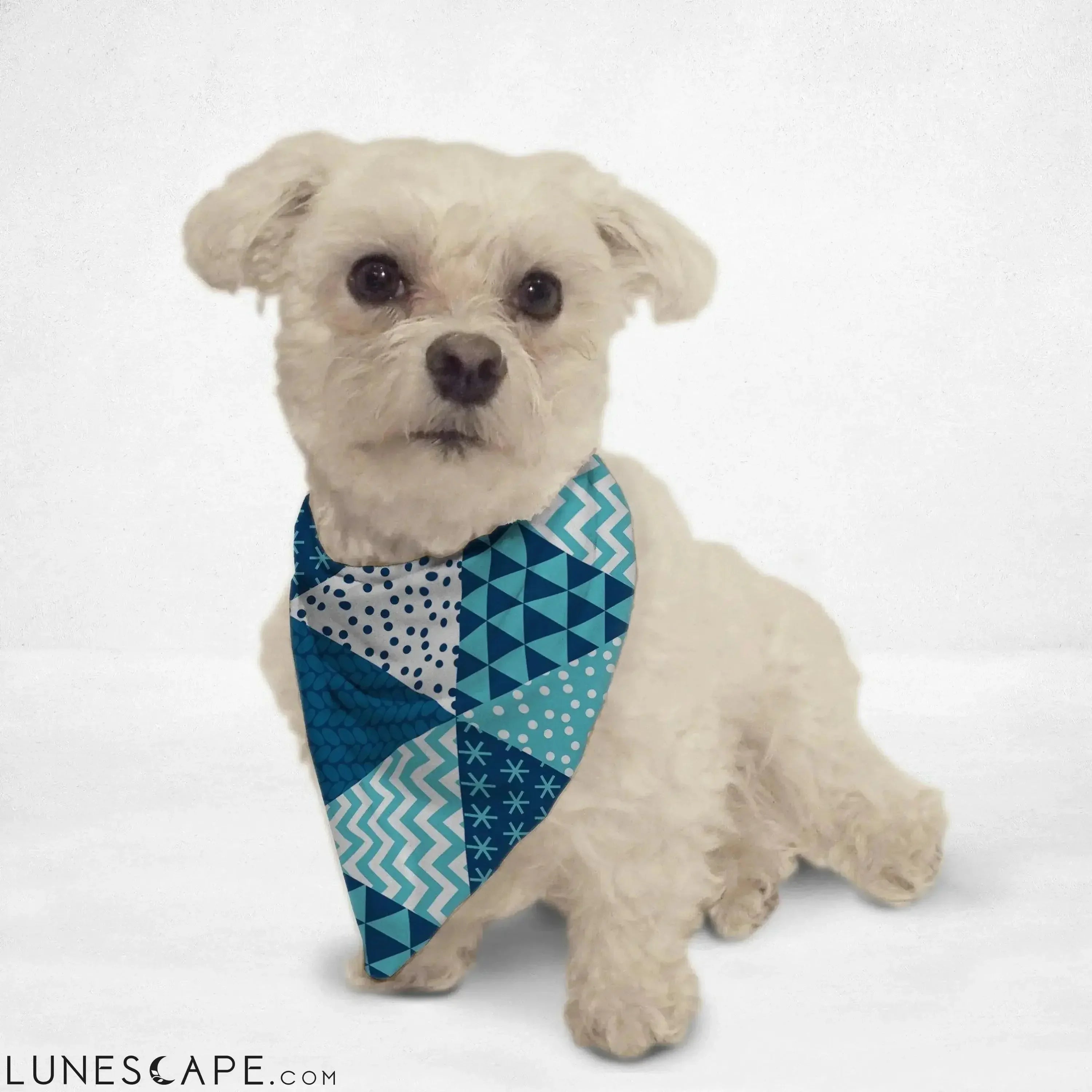 Holiday Wrapping Paper Cat & Dog Bandana LUNESCAPE