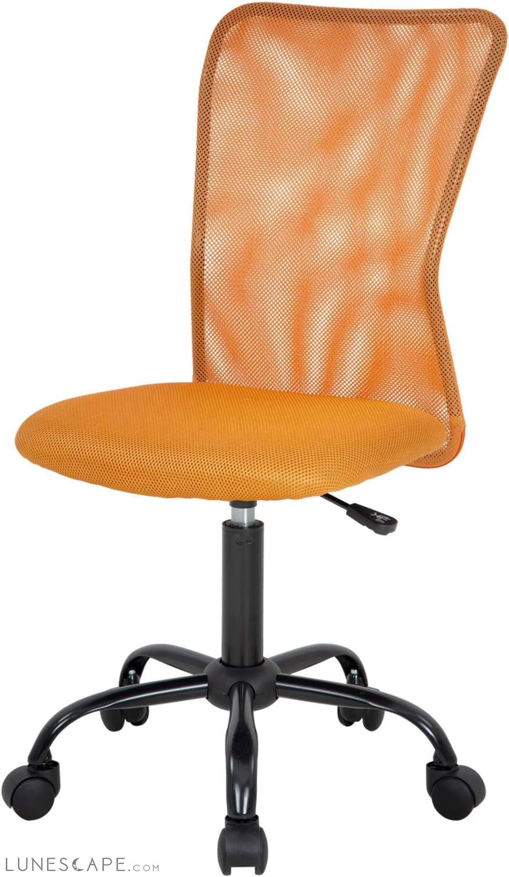 Home Office Chair Mid Back Mesh Desk Chair Armless Computer Chair LUNESCAPE