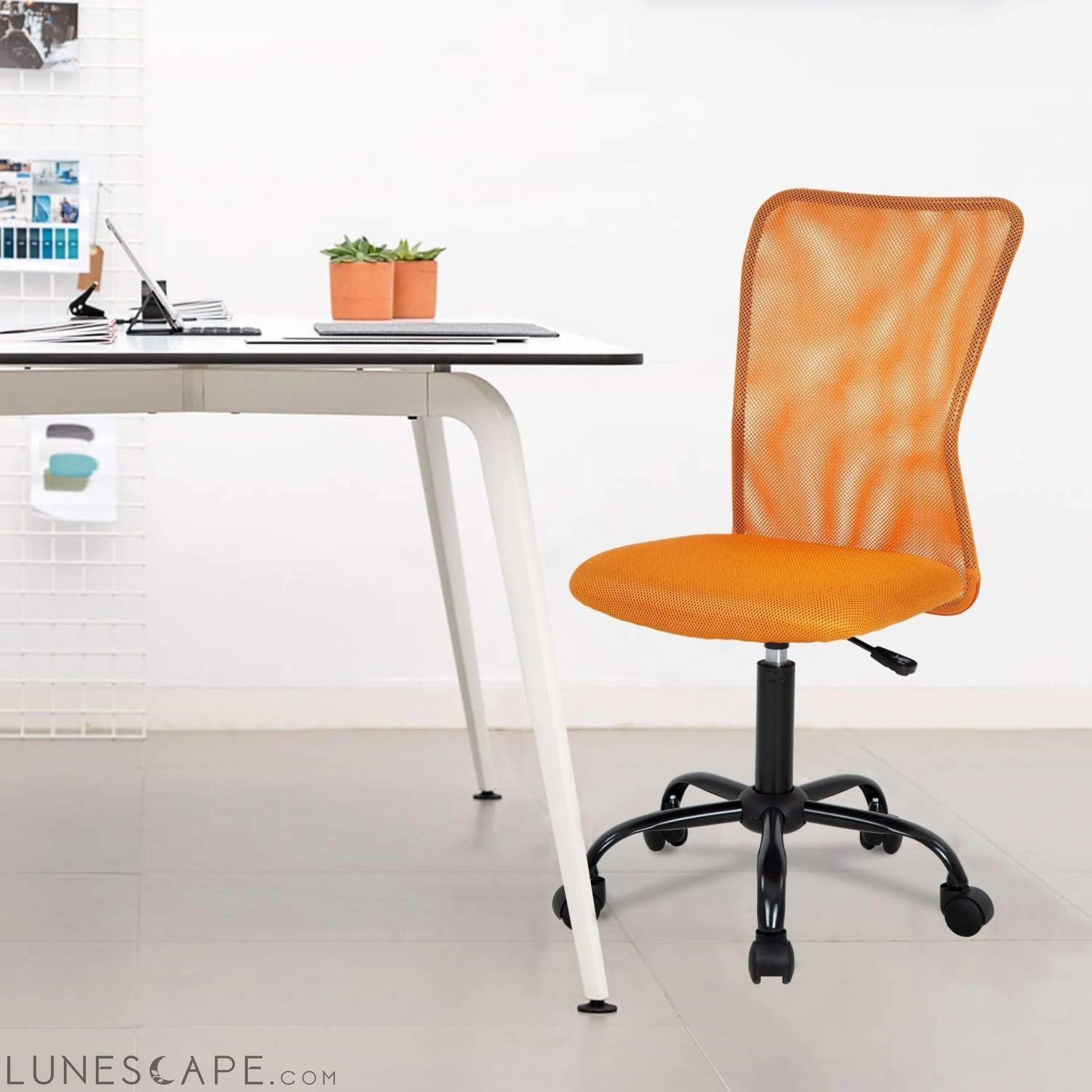Home Office Chair Mid Back Mesh Desk Chair Armless Computer Chair LUNESCAPE