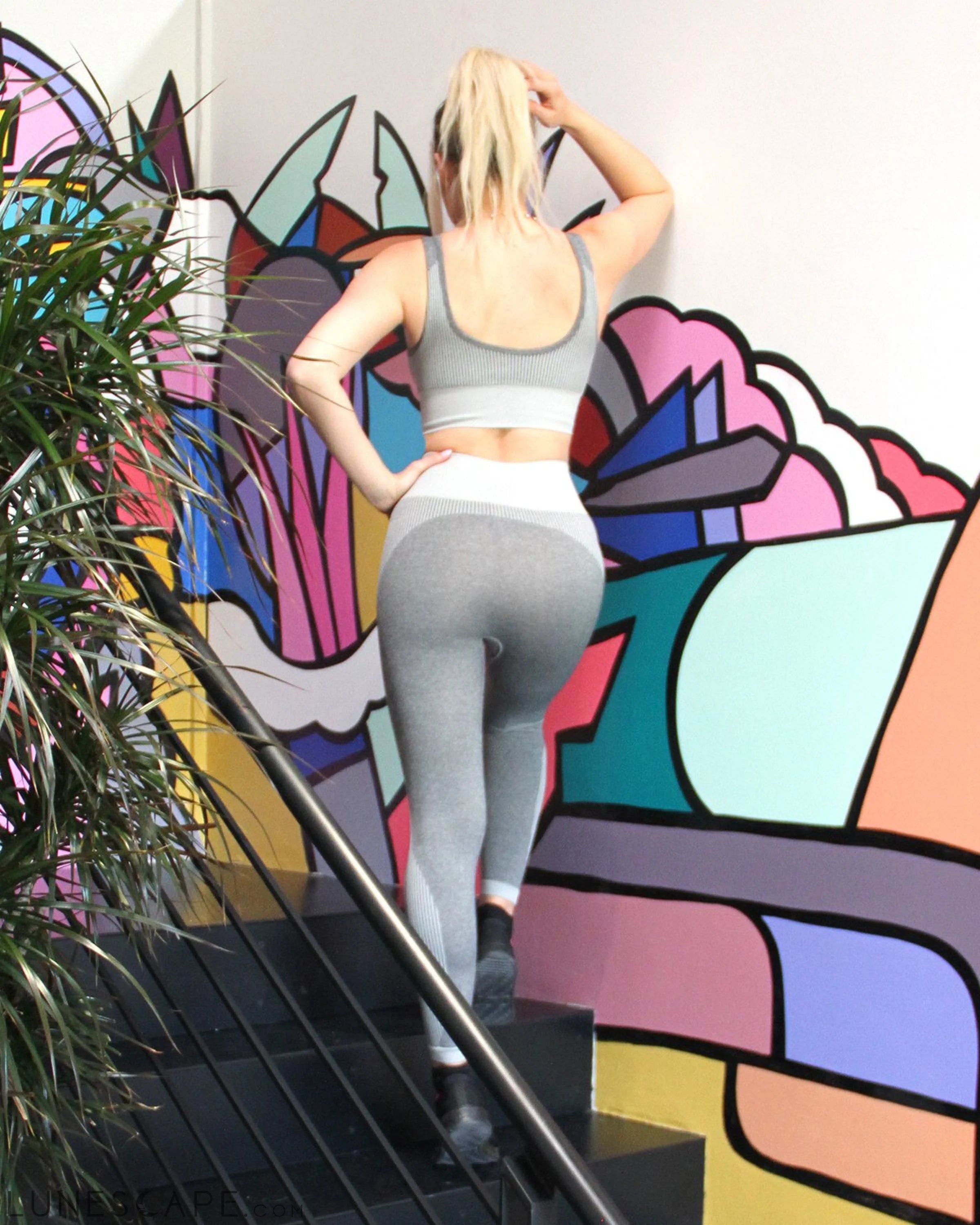 Isalda Seamless Leggings & Sports Bra Set - Grey LUNESCAPE