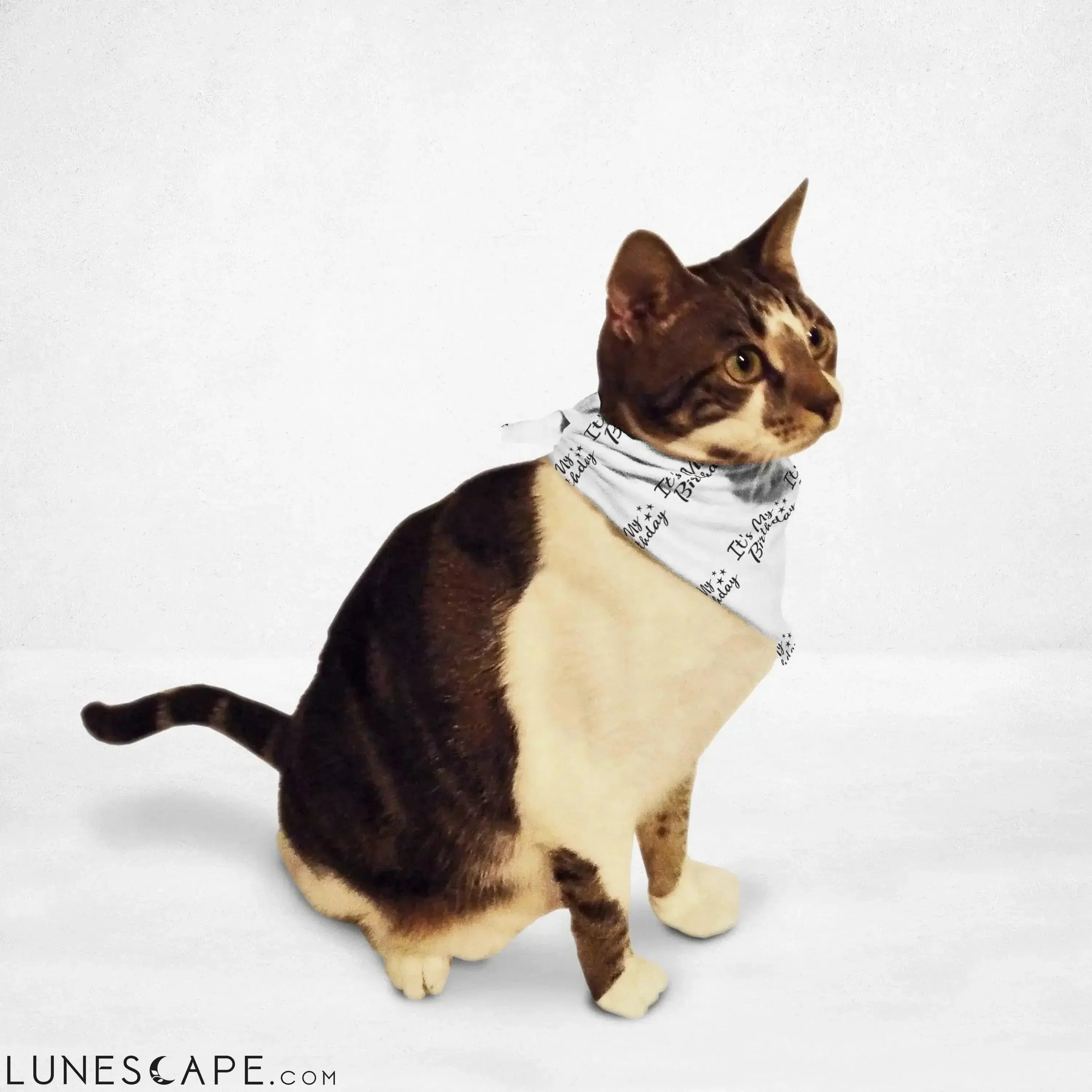 It's My Birthday Cat & Dog Bandana LUNESCAPE