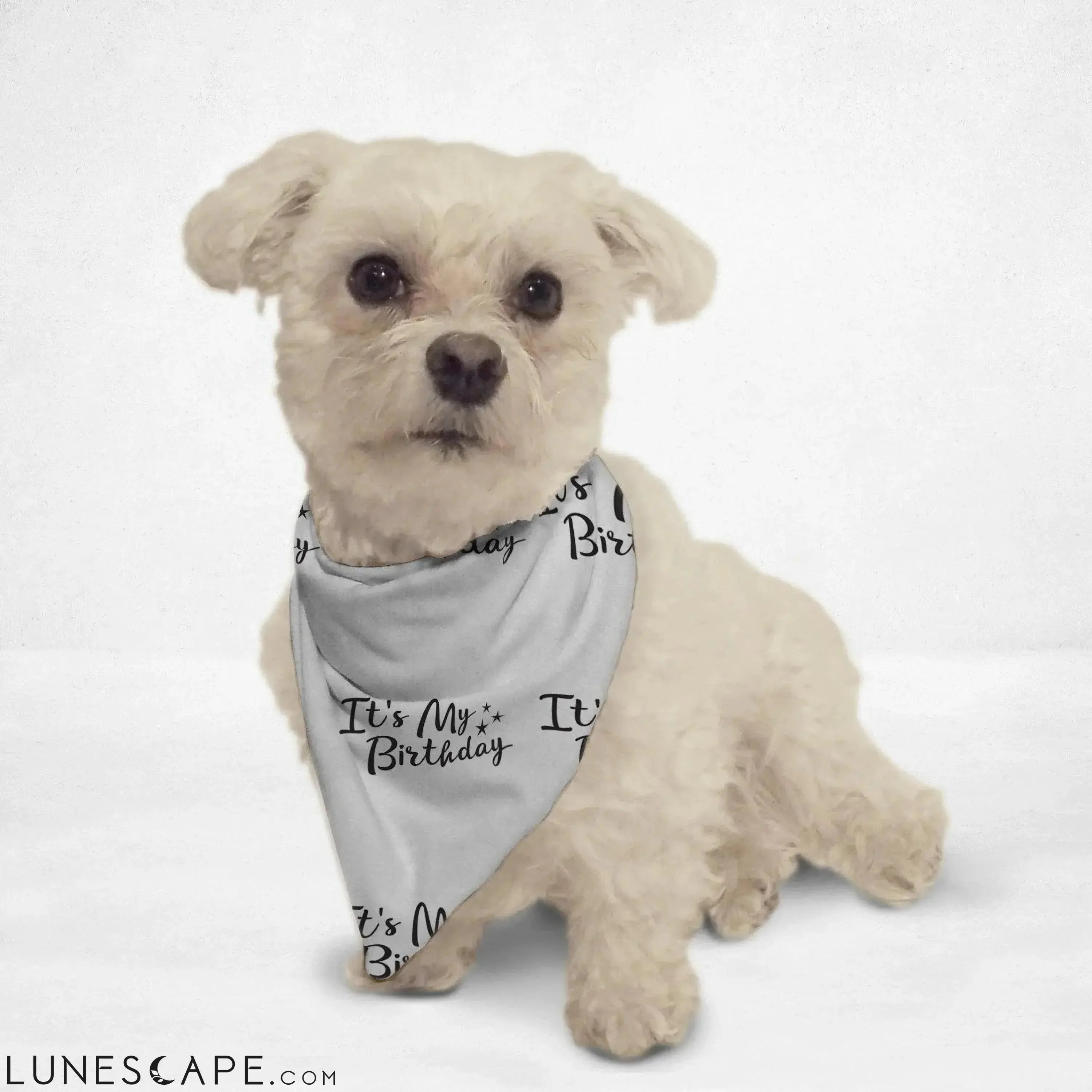 It's My Birthday Cat & Dog Bandana LUNESCAPE
