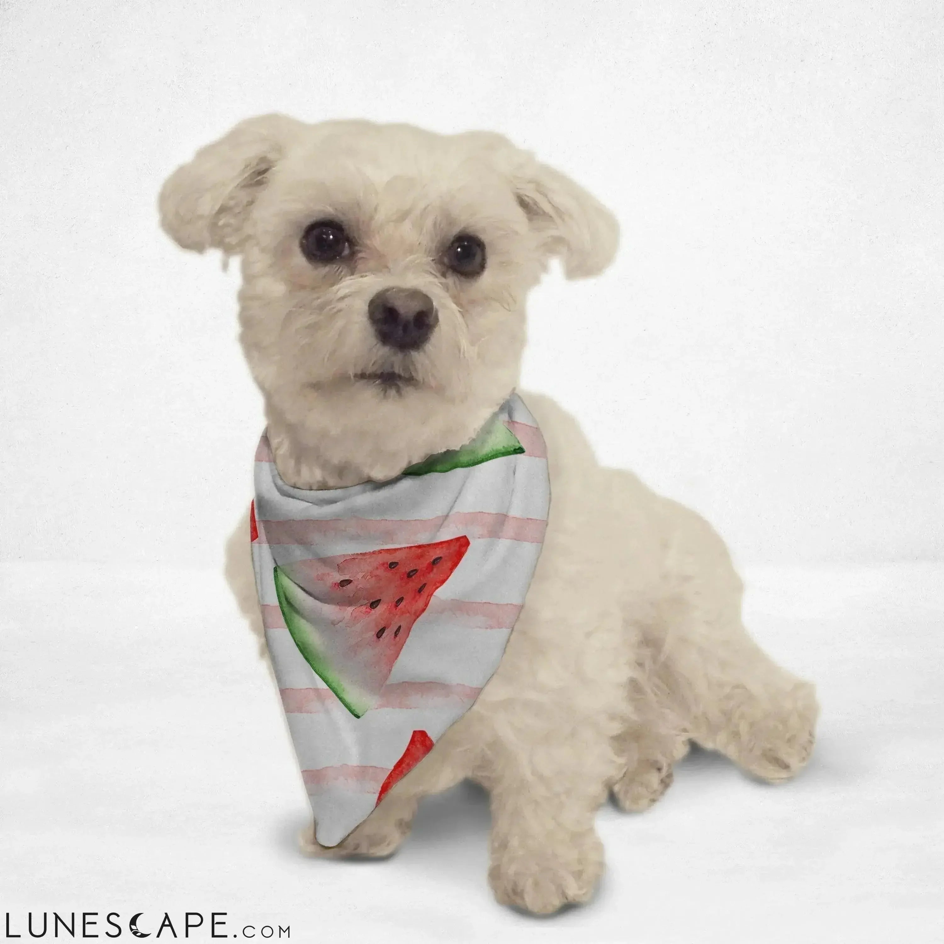 Juicy Watermelon Cat & Dog Bandana LUNESCAPE