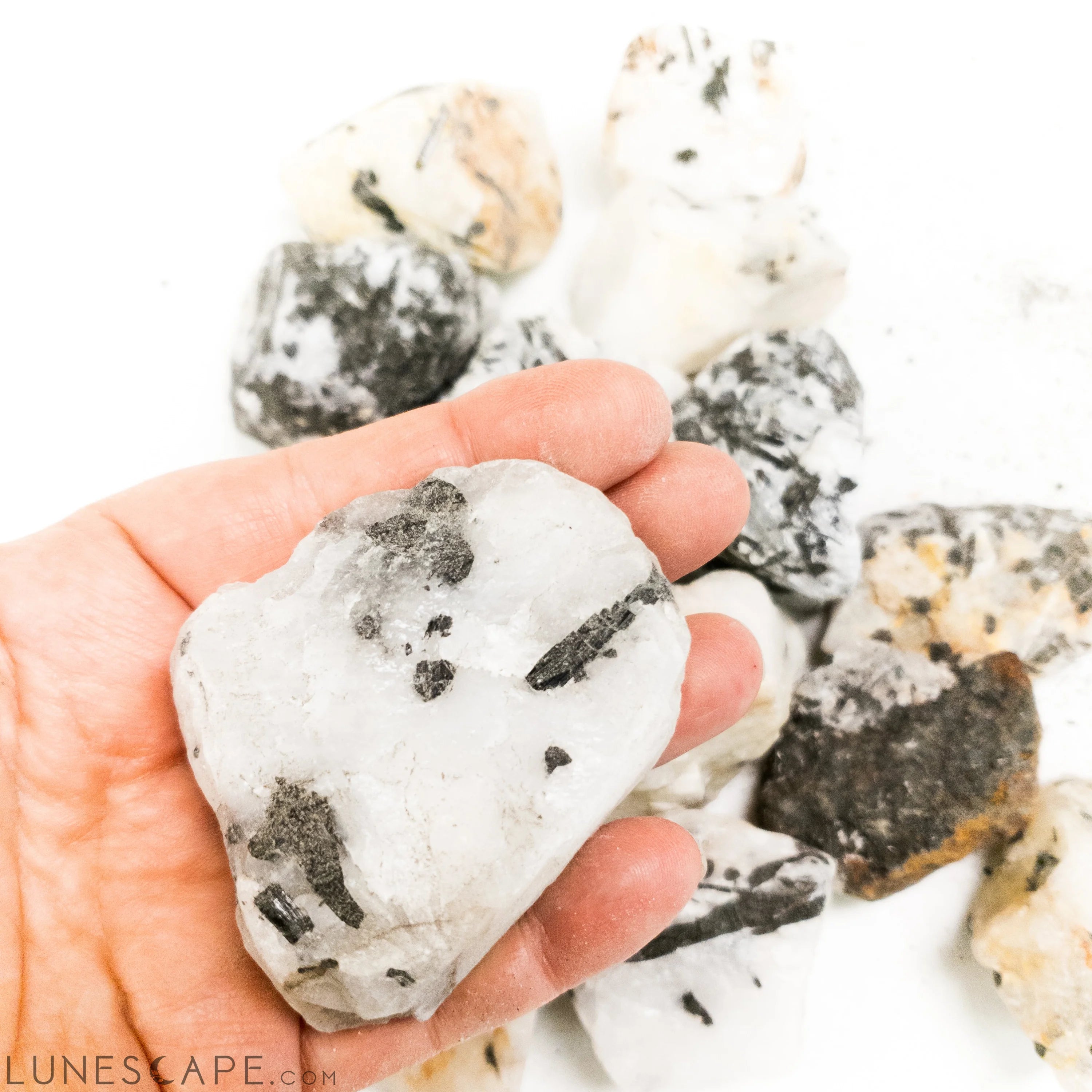 Large 3-4" Tourmalinated Quartz Rough Stone LUNESCAPE