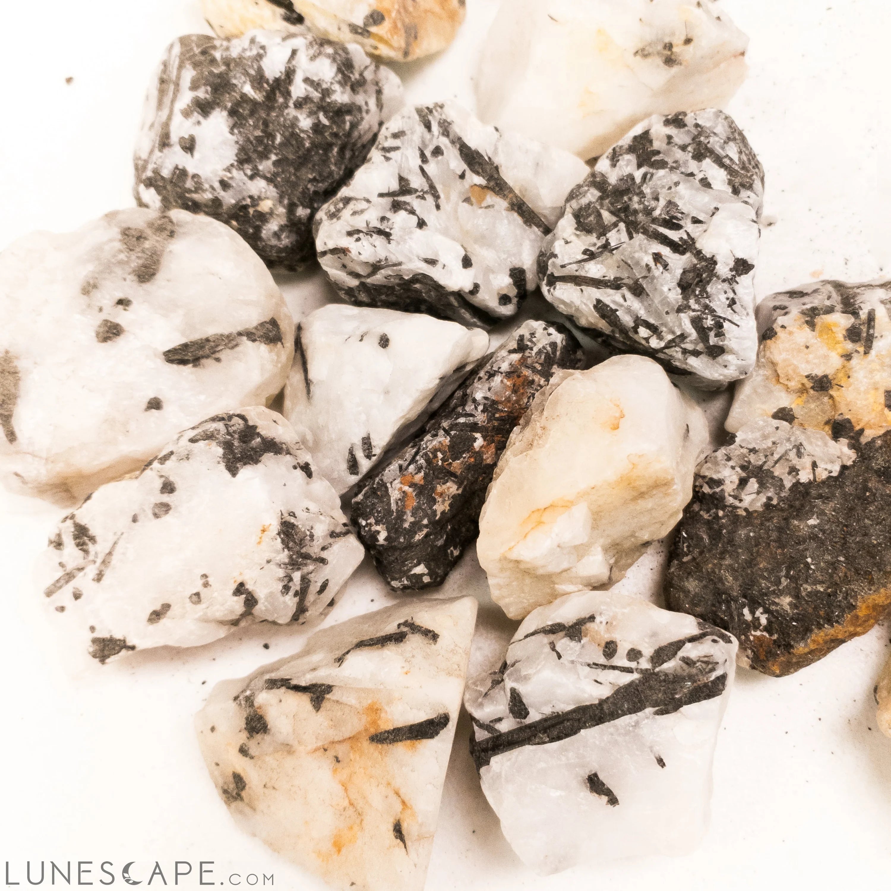 Large 3-4" Tourmalinated Quartz Rough Stone LUNESCAPE