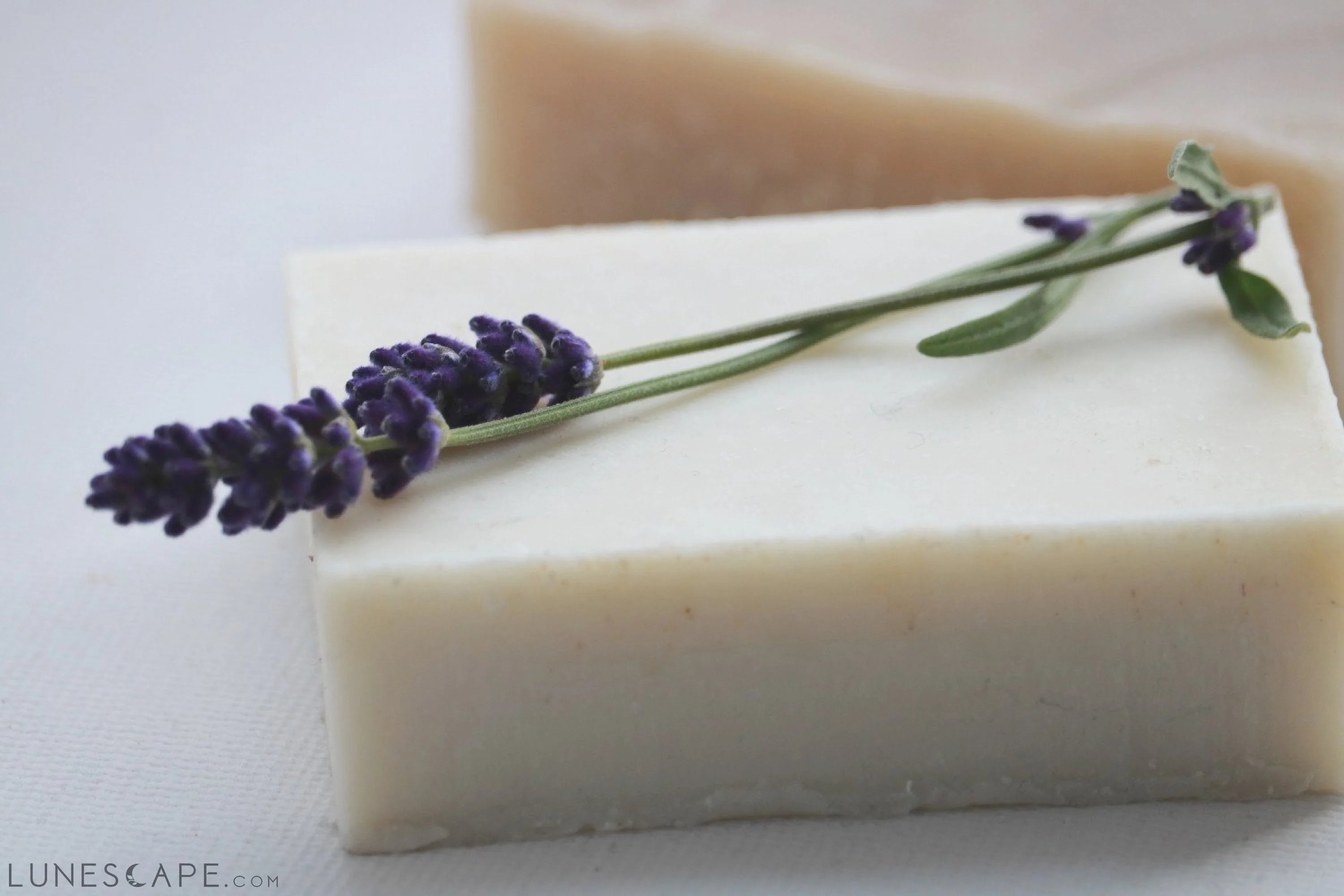 Lavender Chamomile Shampoo Bar - Natural Shampoo LUNESCAPE