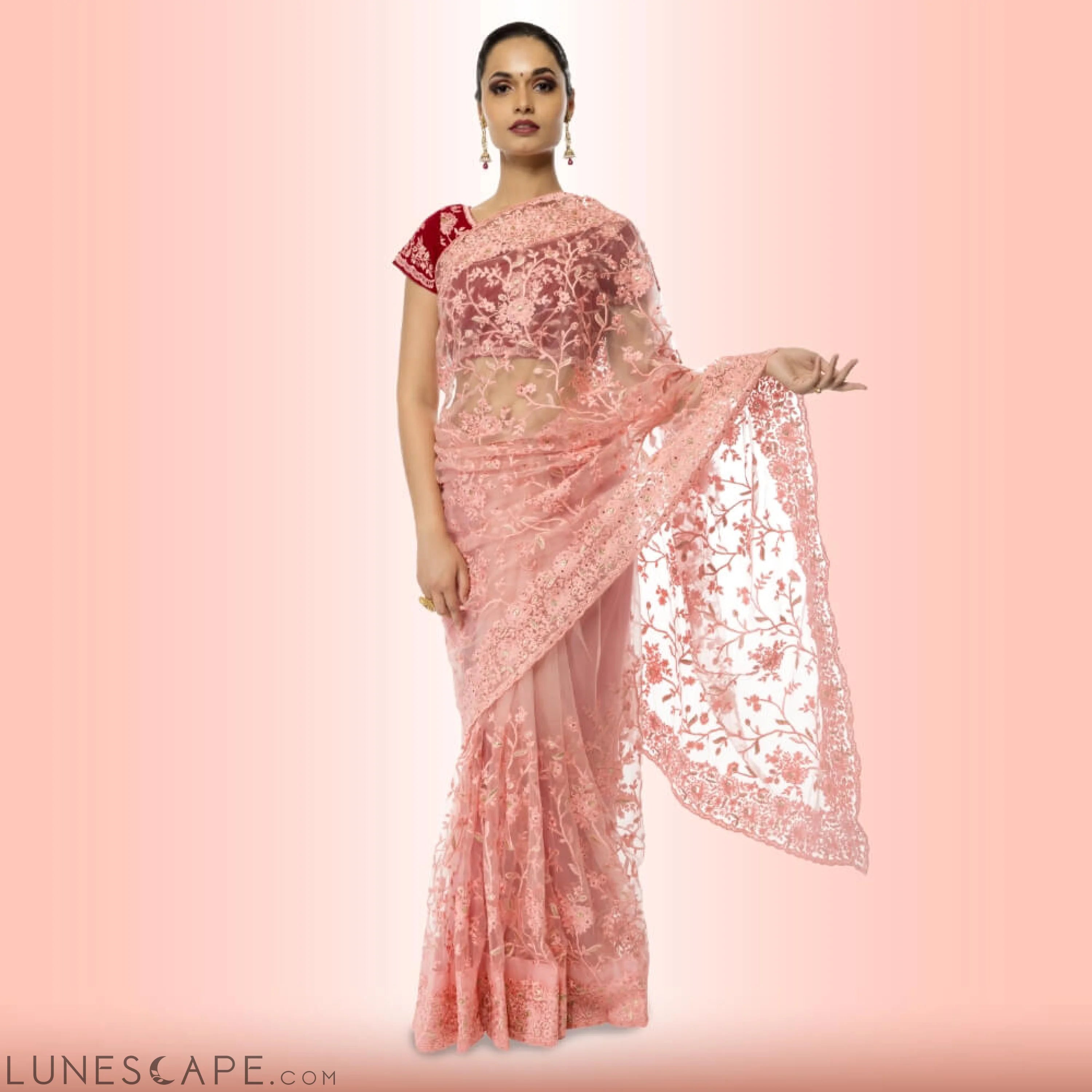 Lightweight Net Saree With Contrast Blouse LUNESCAPE