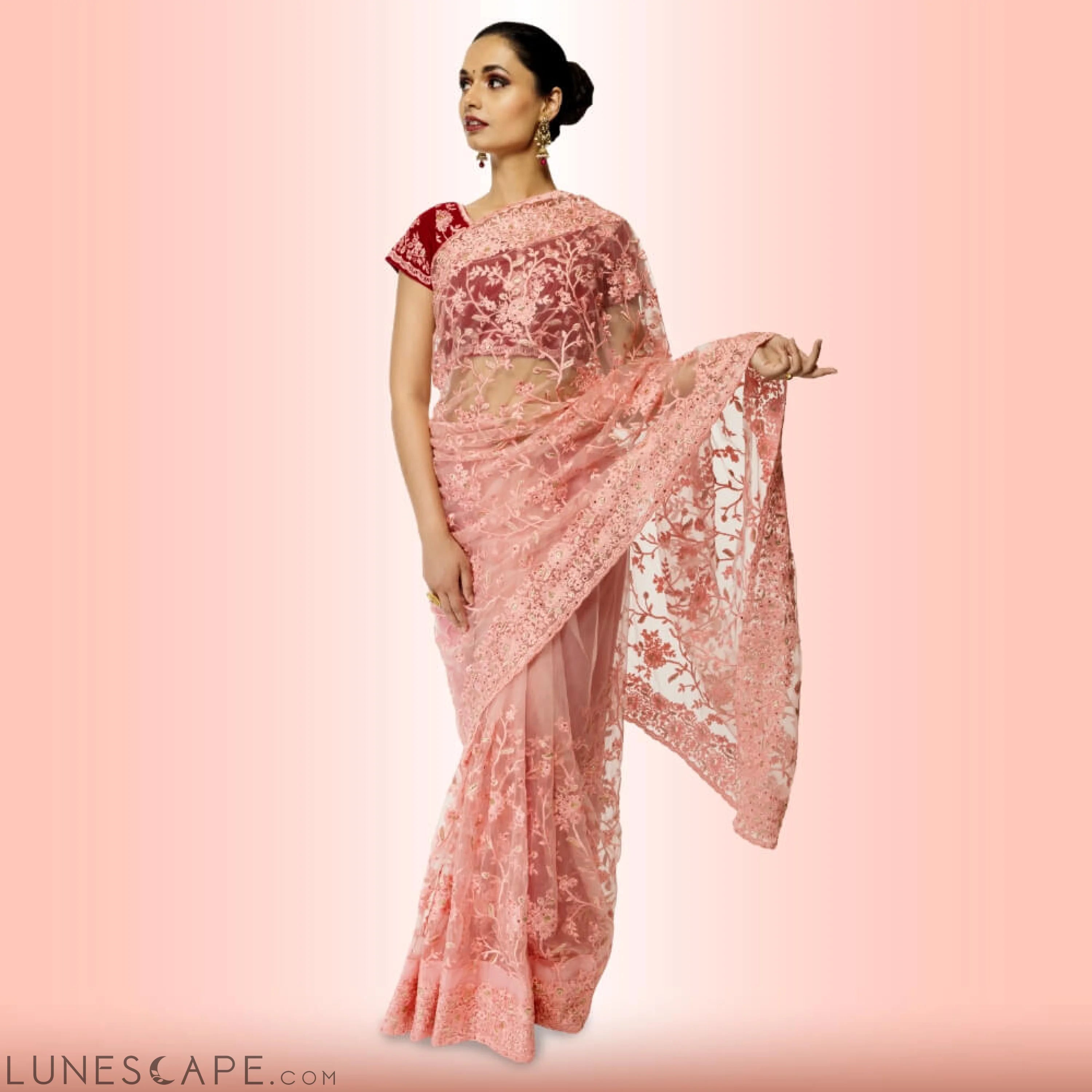 Lightweight Net Saree With Contrast Blouse LUNESCAPE
