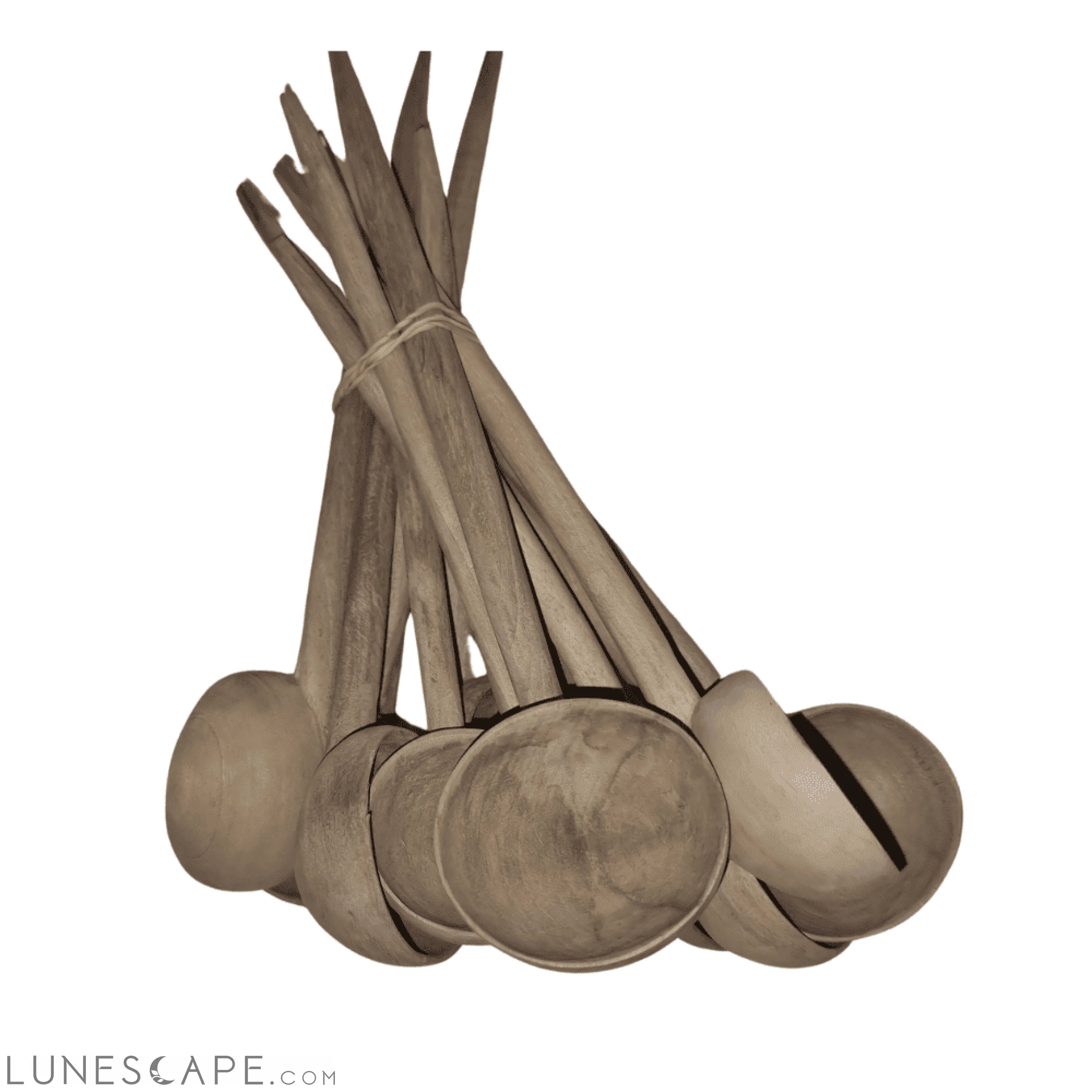 Louches Du Noyer Set of 12 Hand-Carved Walnut Soup Spoons LUNESCAPE