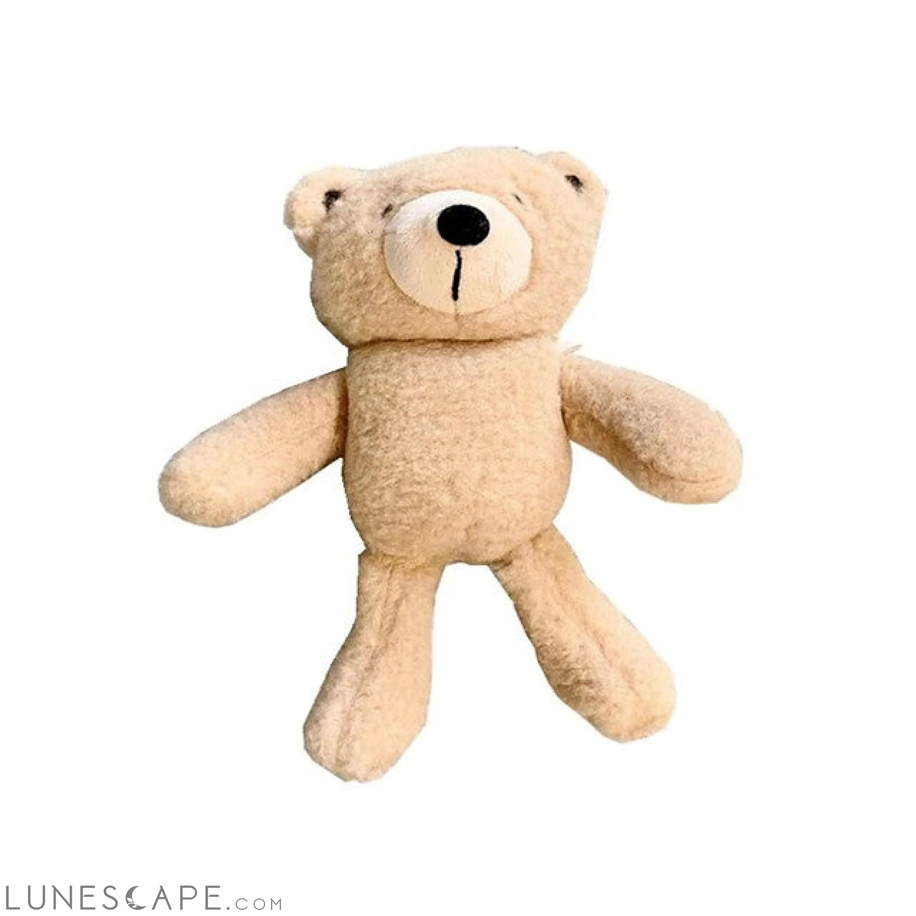 Lovely Bear AirPods Case LUNESCAPE