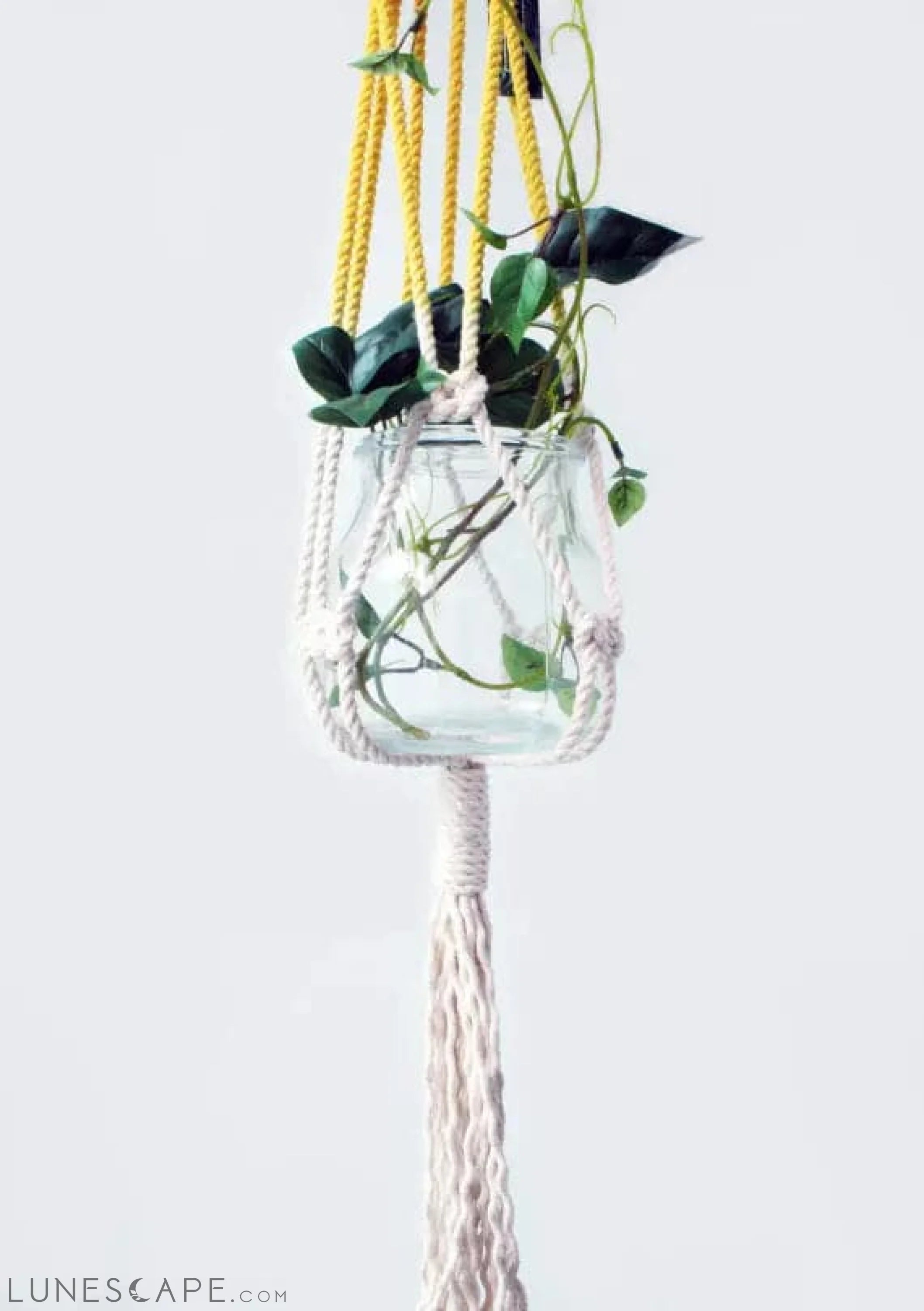 Macrame Plant Hanger, Hand Dyed, Hanging Planter LUNESCAPE