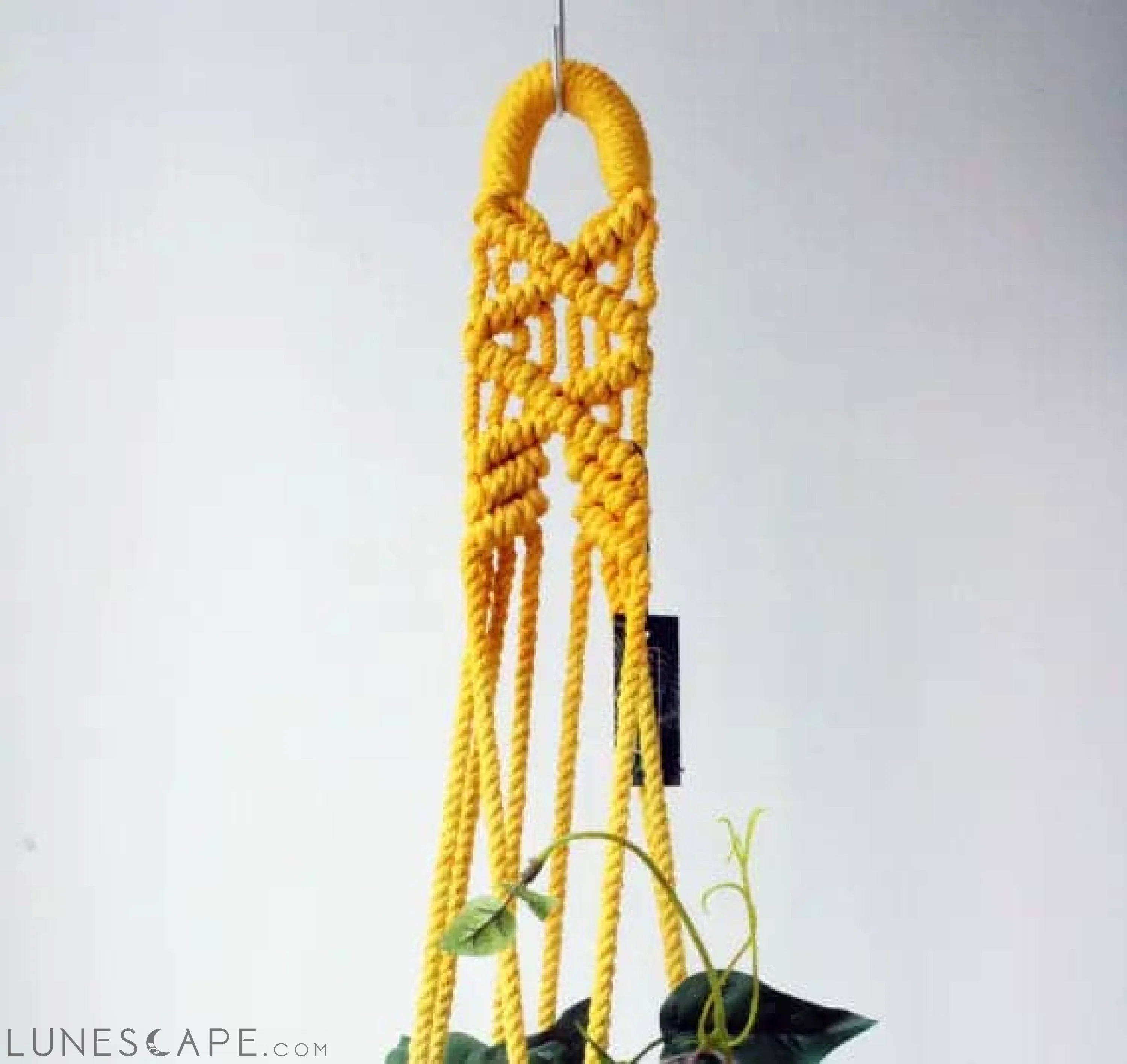 Macrame Plant Hanger, Hand Dyed, Hanging Planter LUNESCAPE