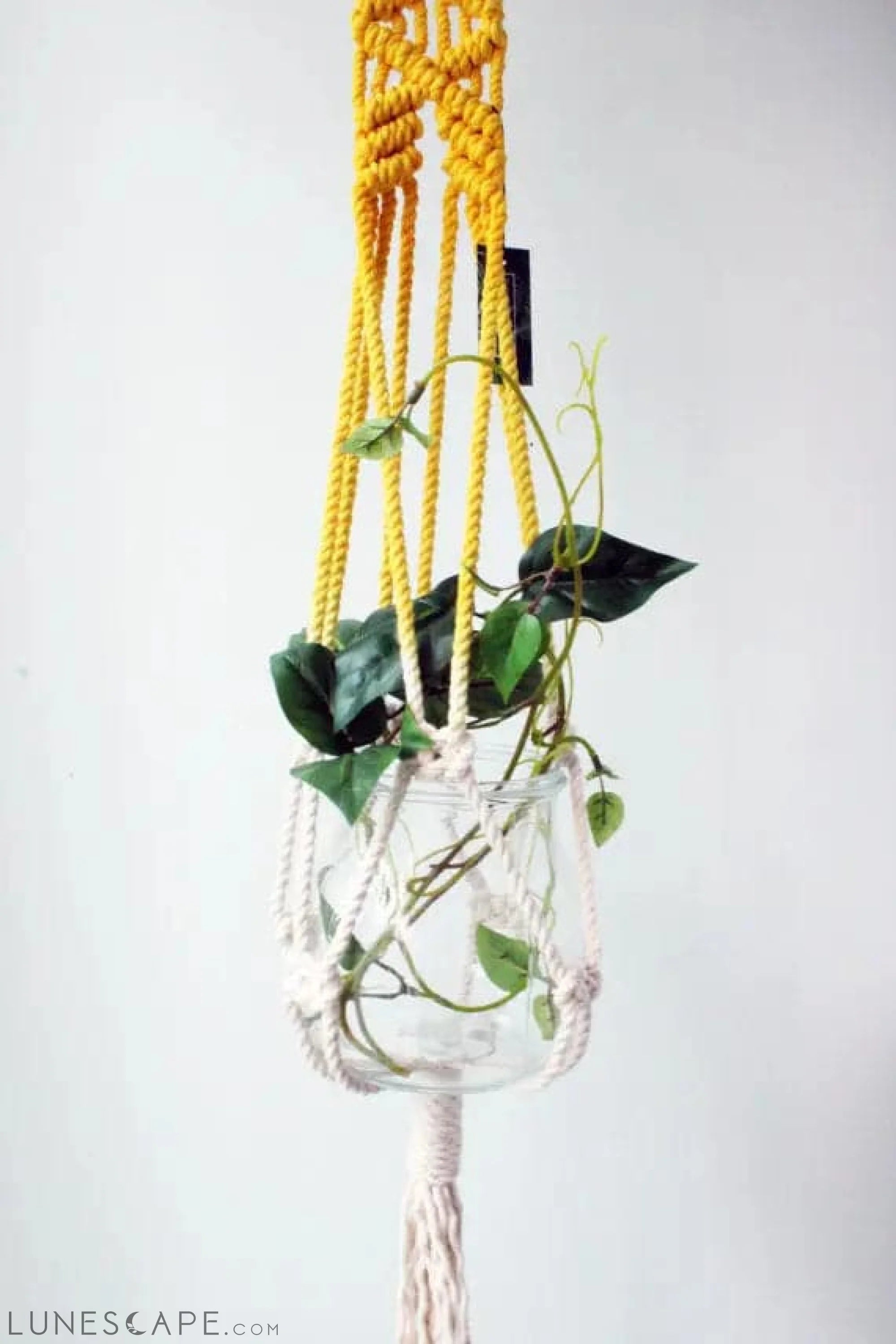 Macrame Plant Hanger, Hand Dyed, Hanging Planter LUNESCAPE