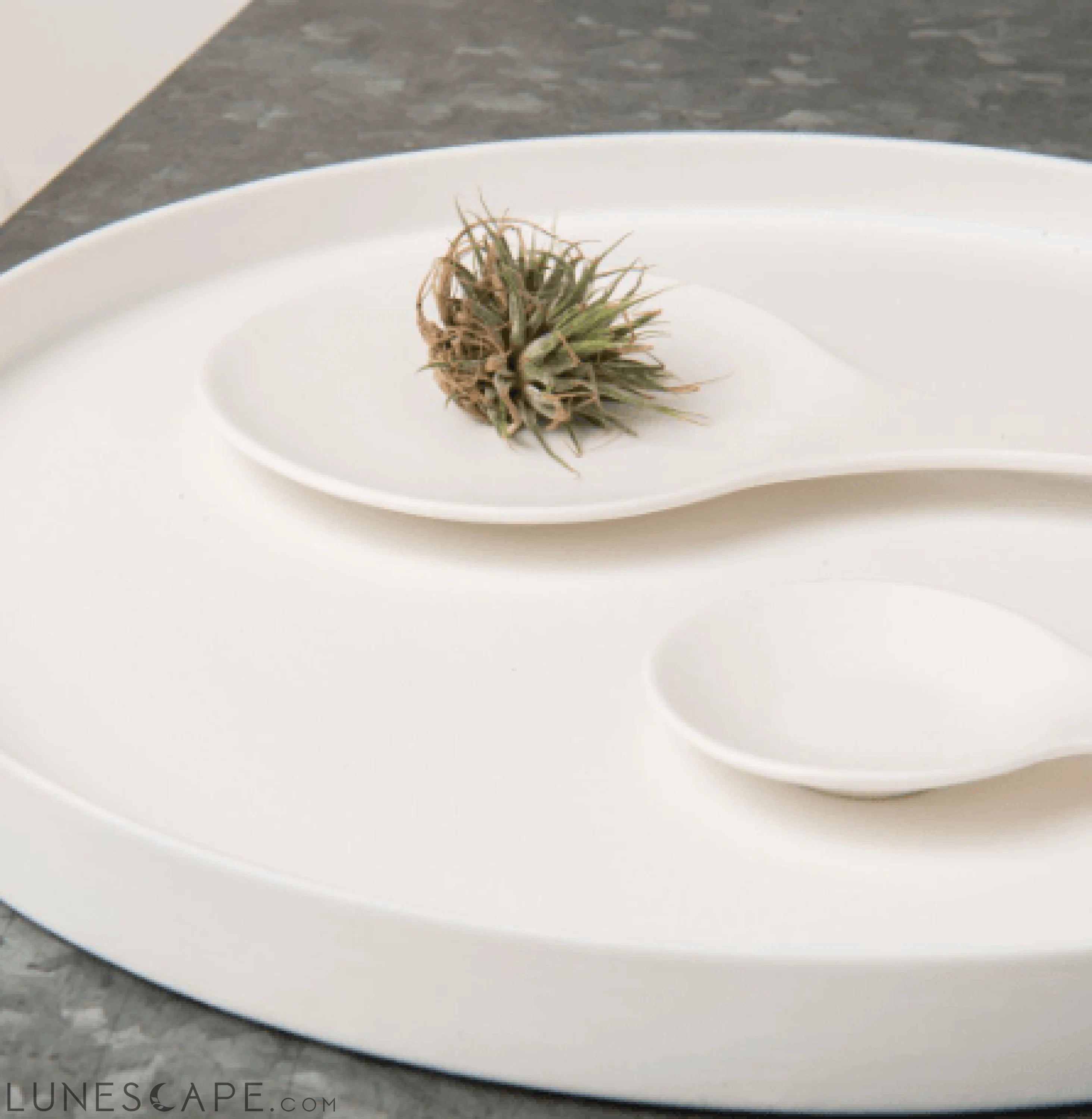 Matte Porcelain Serving Plate LUNESCAPE