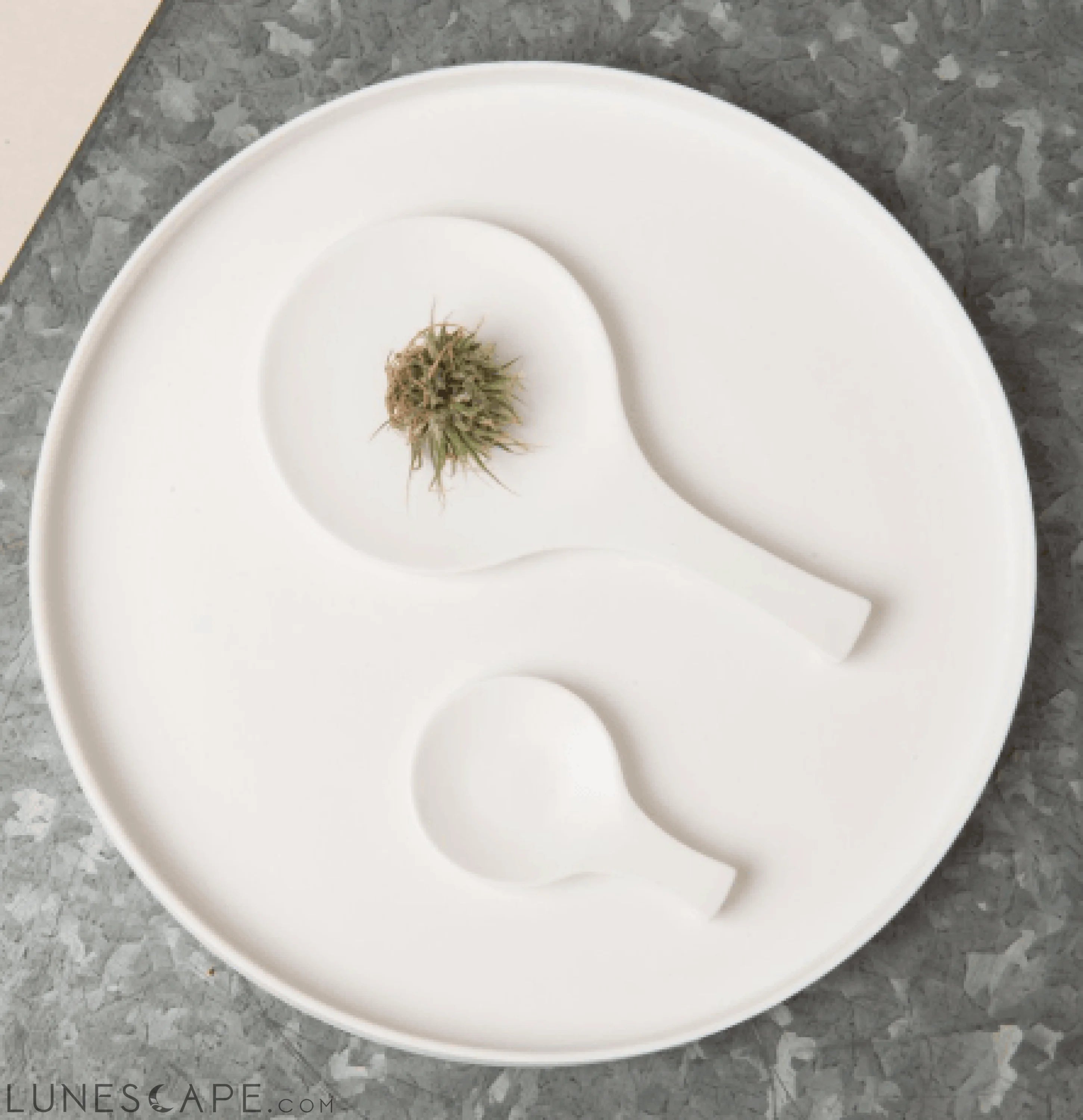 Matte Porcelain Serving Plate LUNESCAPE
