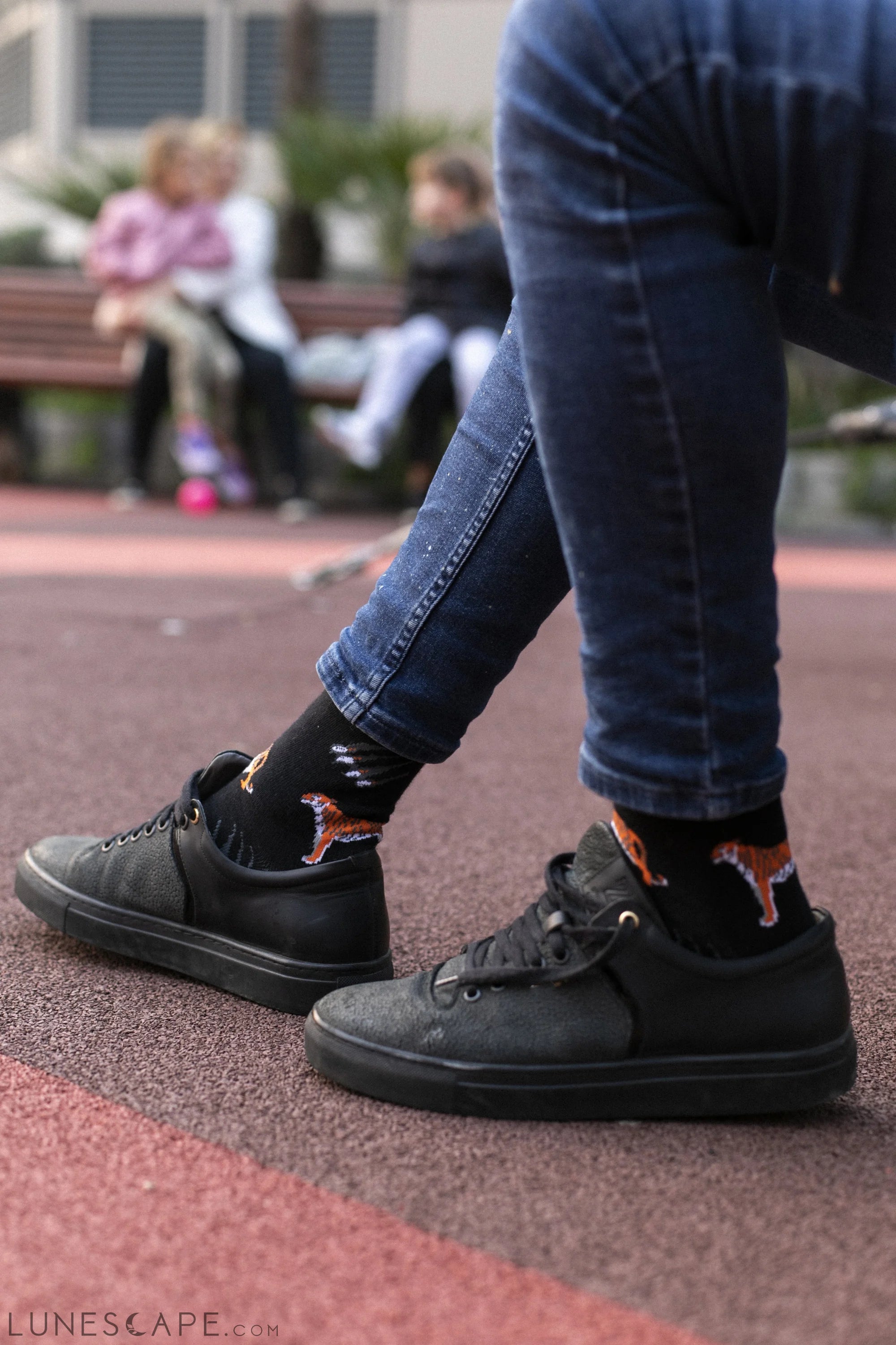 Men's Animal Planet Socks LUNESCAPE