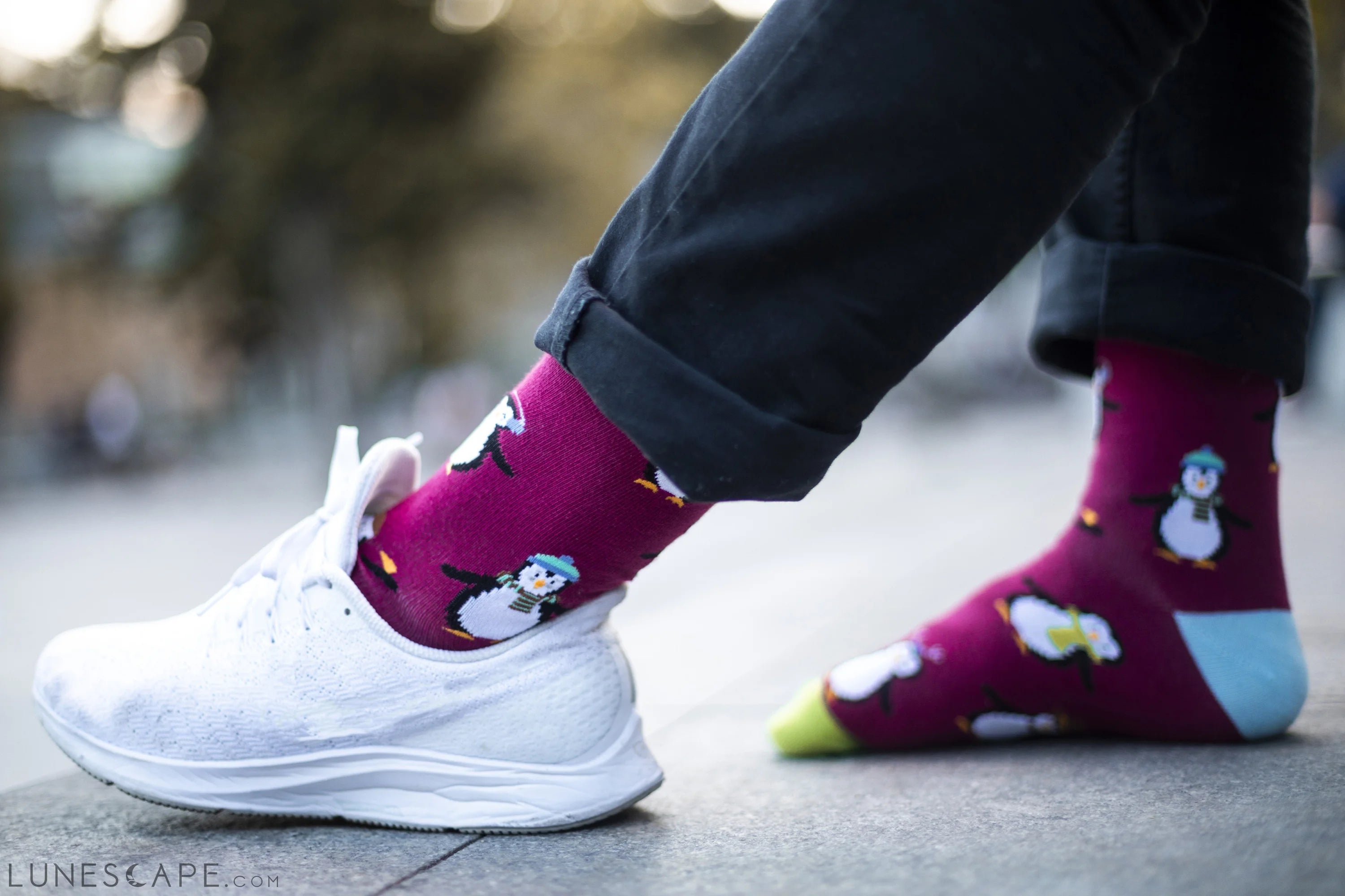 Men's Animal Planet Socks LUNESCAPE