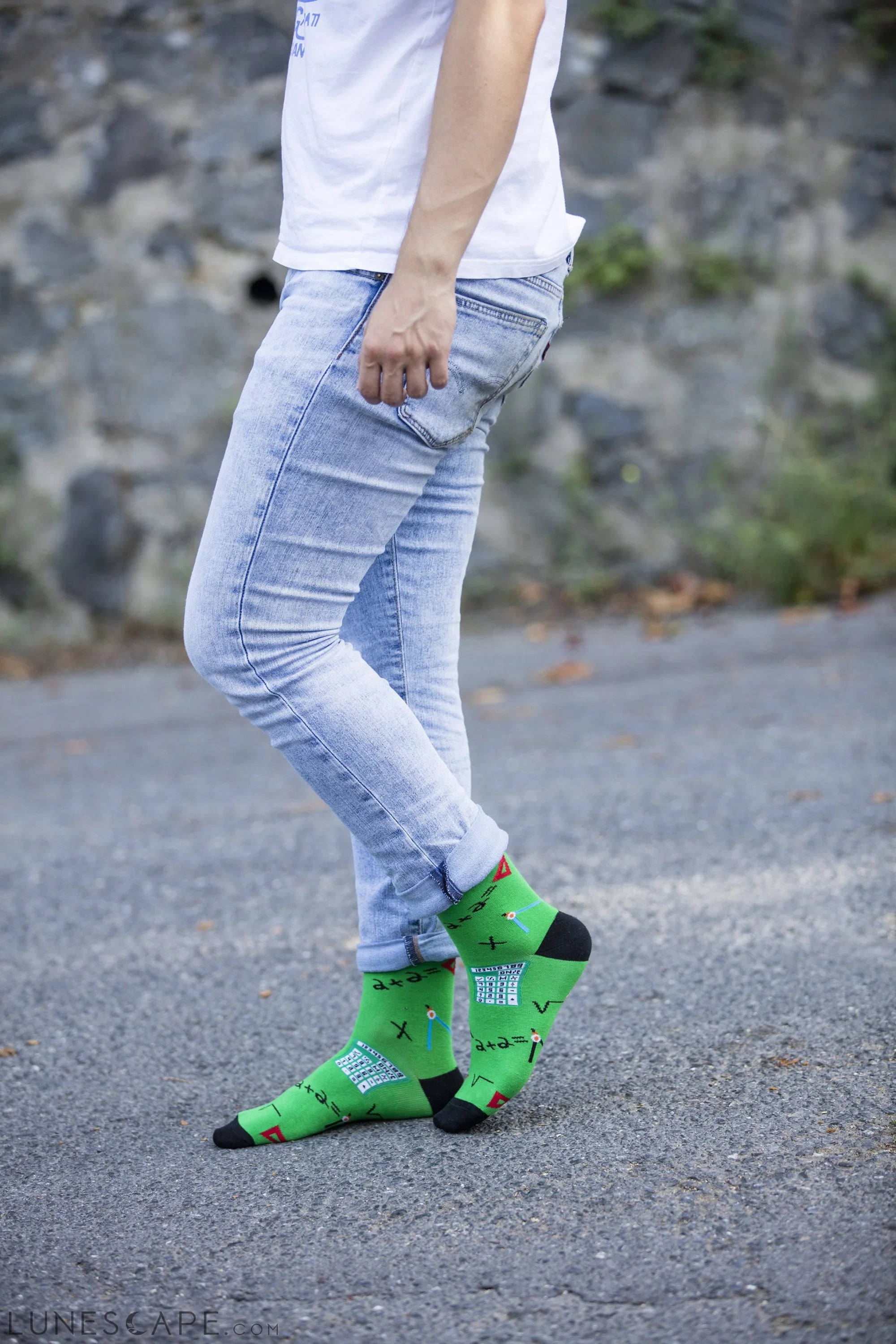 Men's Arts & Science Socks LUNESCAPE