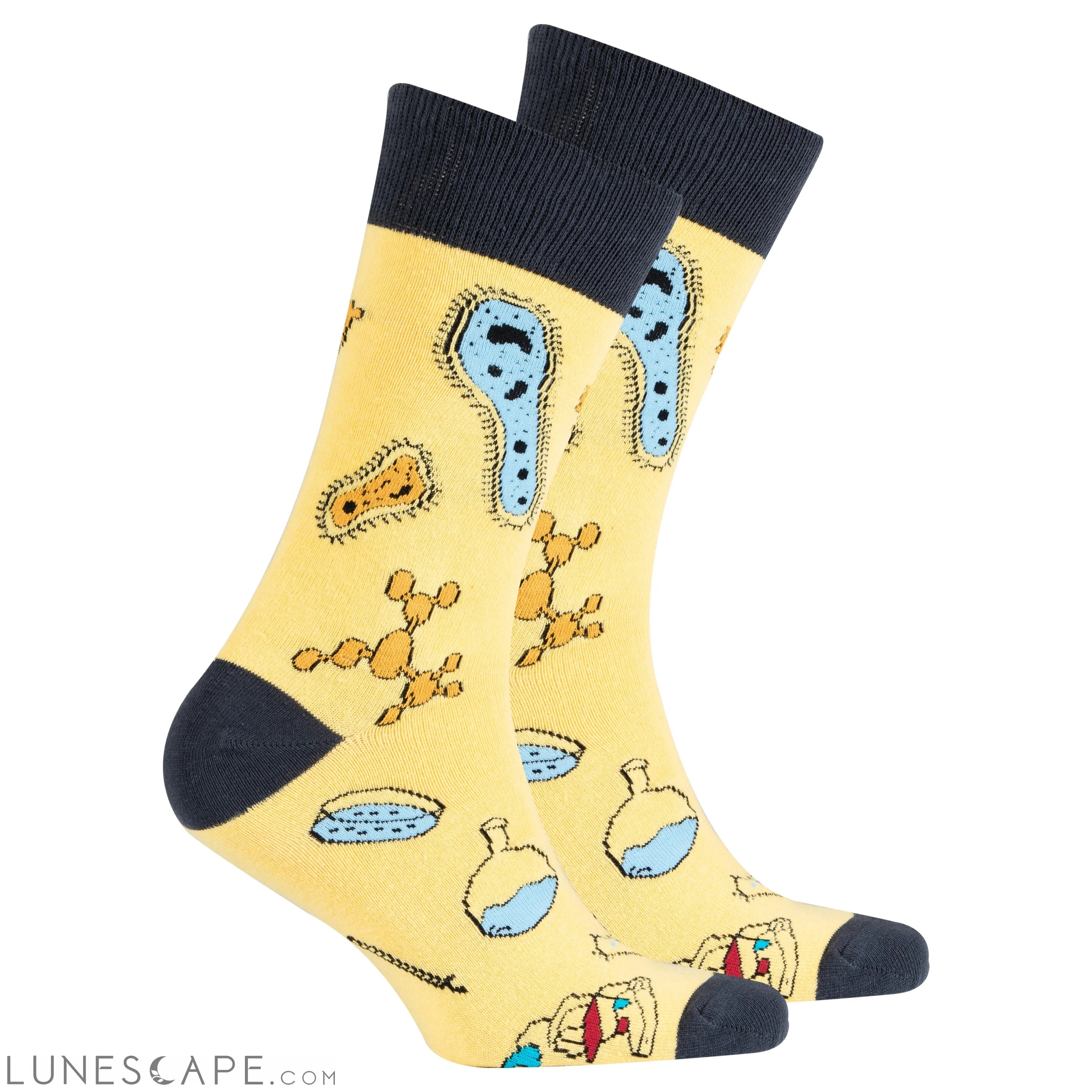 Men's Biology Socks LUNESCAPE