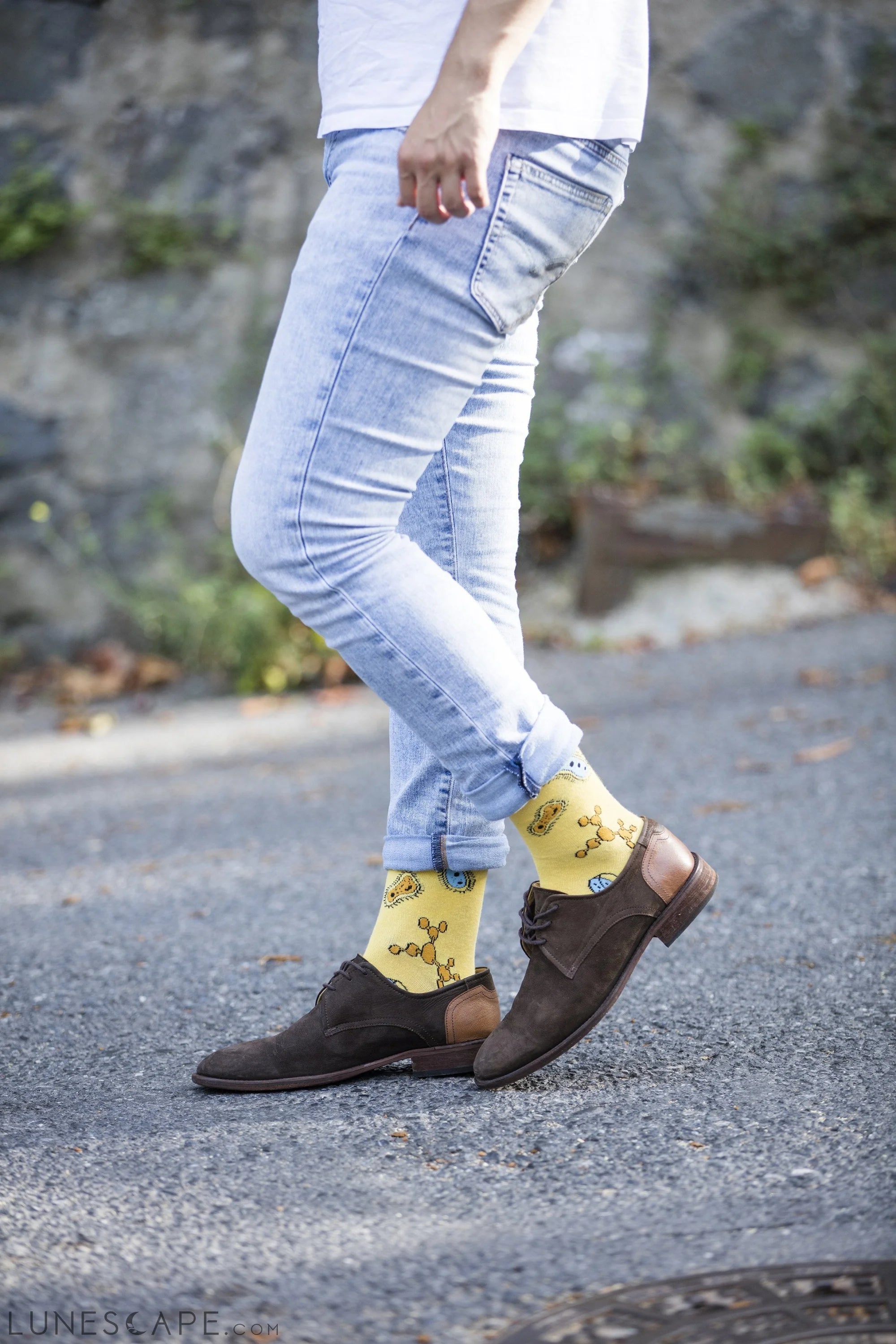 Men's Biology Socks LUNESCAPE