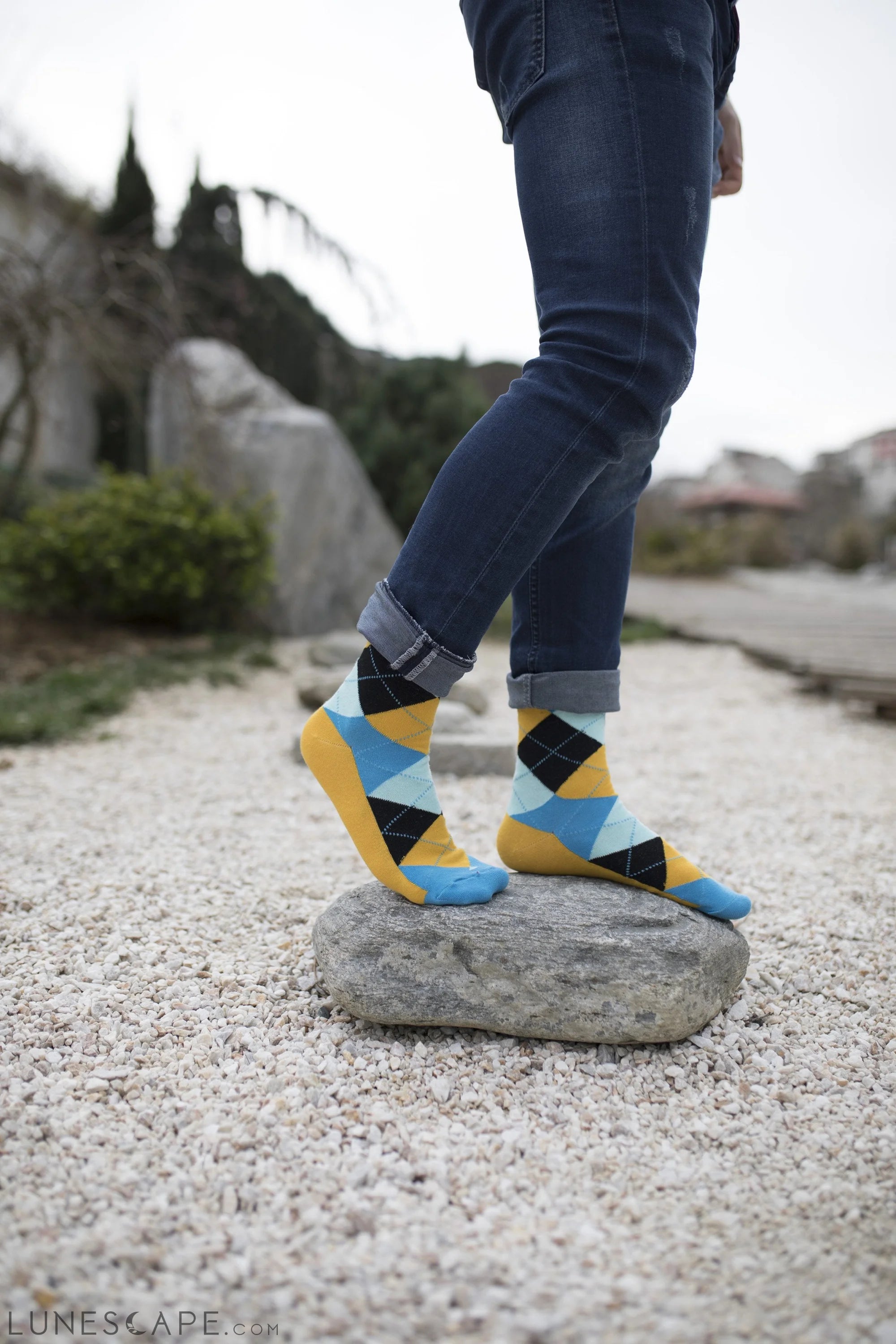 Men's Bluebird Argyle Socks LUNESCAPE
