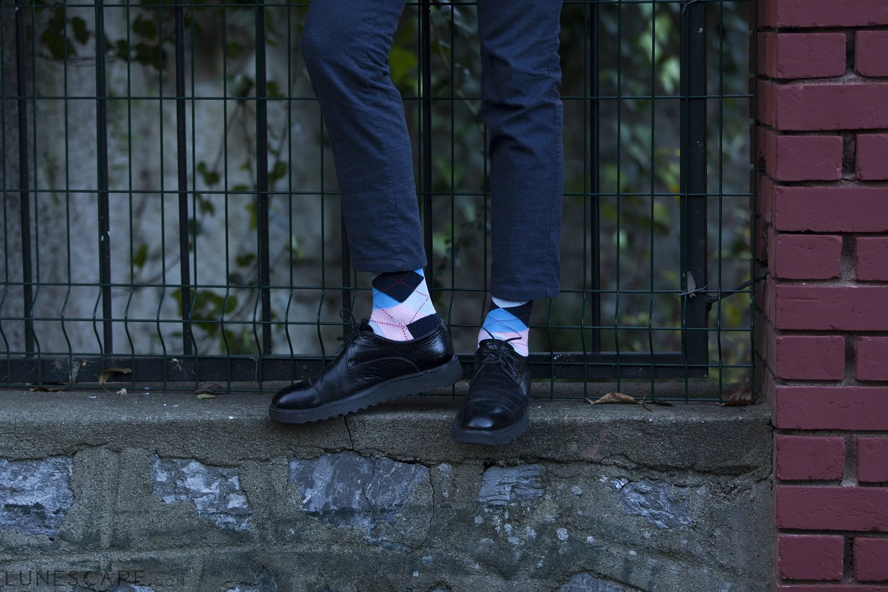 Men's Blush Argyle Socks LUNESCAPE