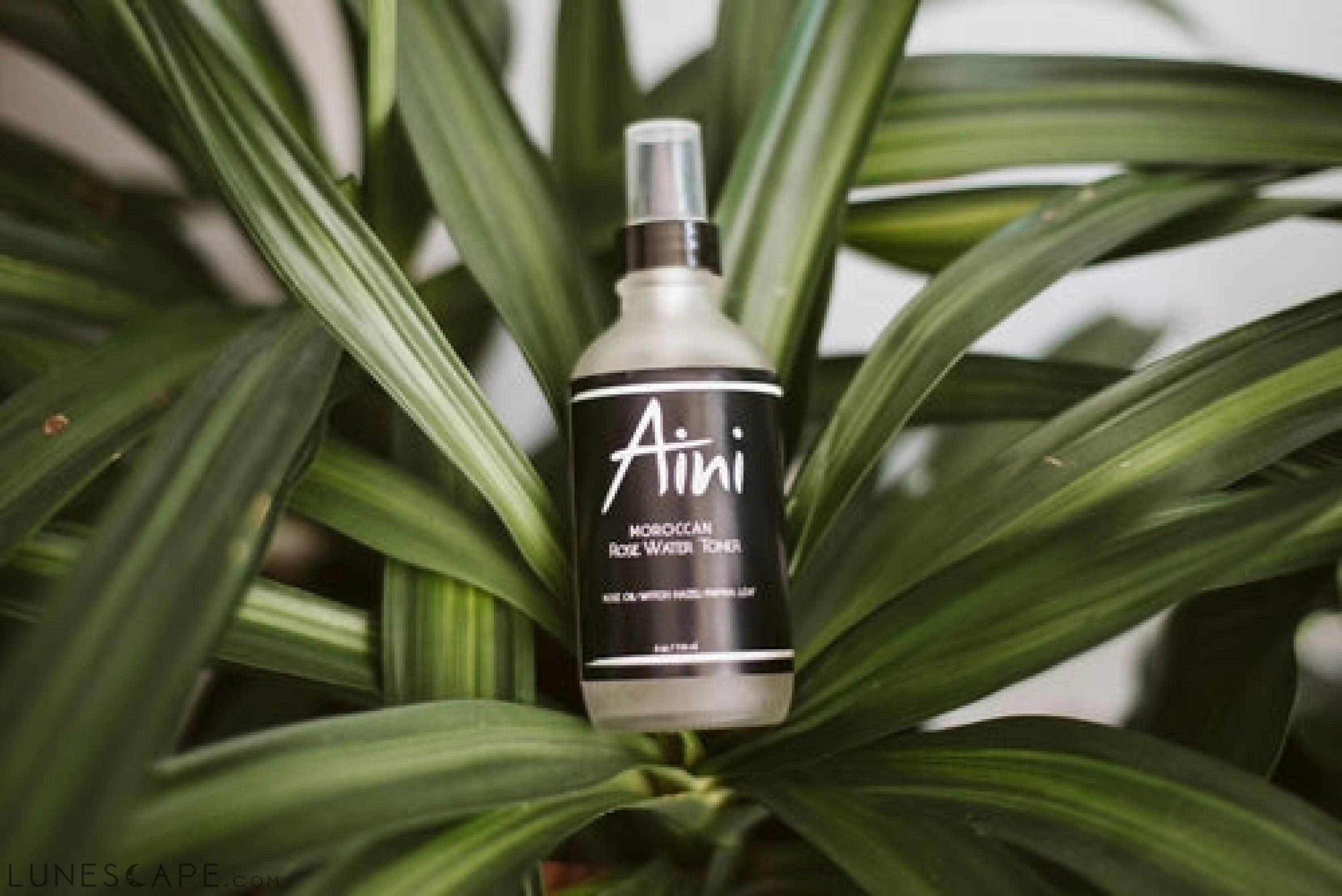 Moroccan Rosewater Toner (7.5% AHA) LUNESCAPE