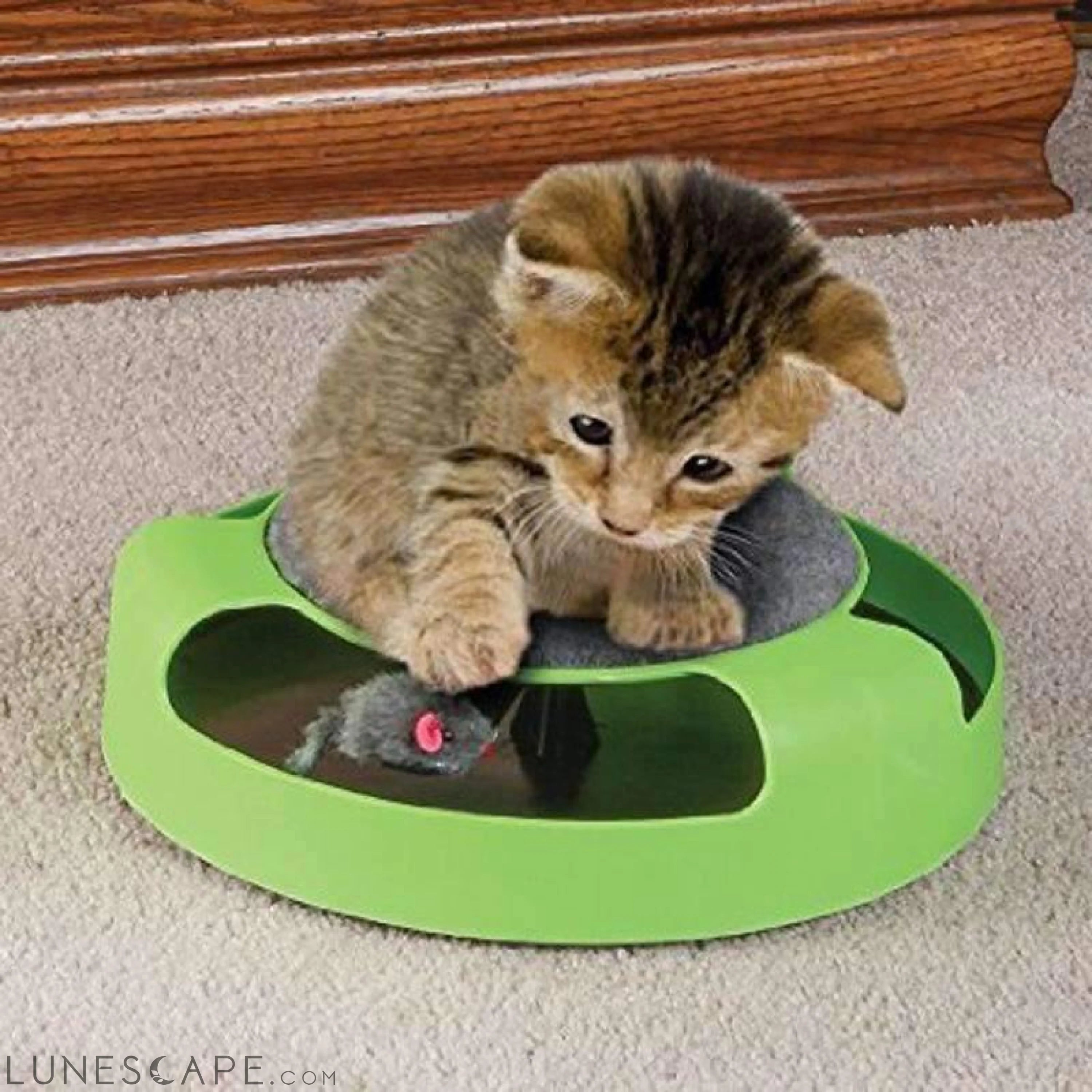 Mouse Chase Interactive Toy for Cats LUNESCAPE