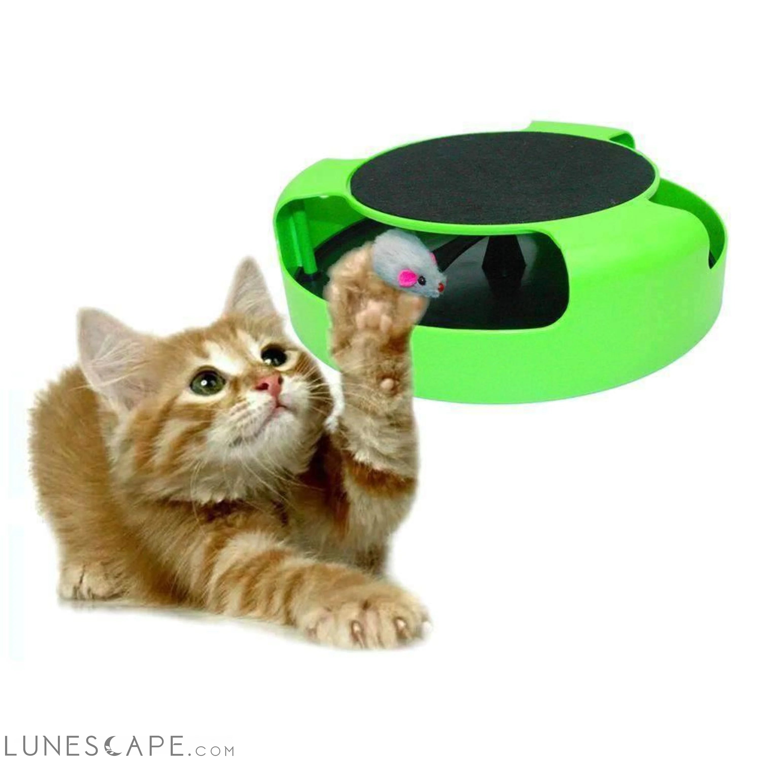 Mouse Chase Interactive Toy for Cats LUNESCAPE