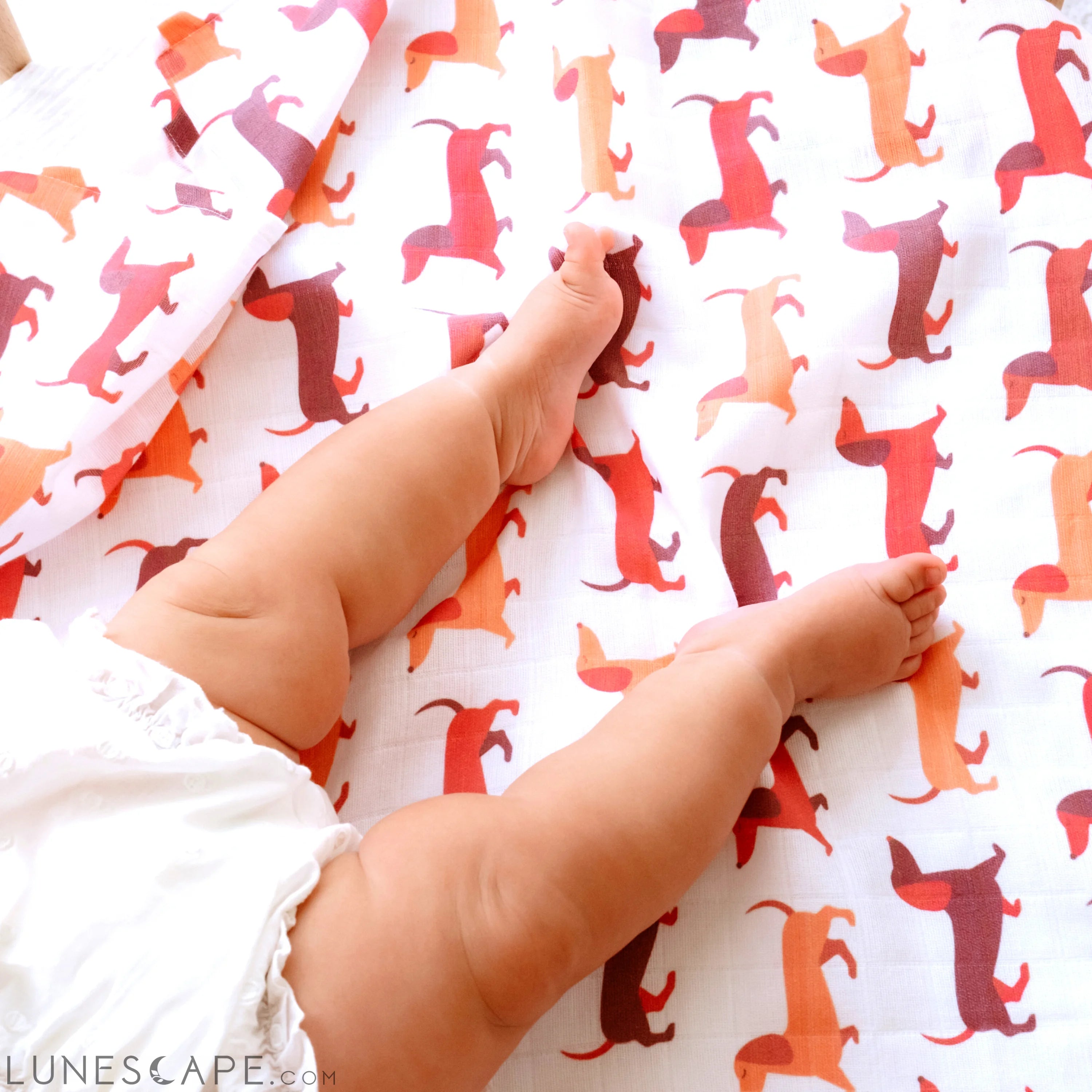 Muslin Swaddle Baby Blanket Large Organic Cotton Dachshund Sausage Dog LUNESCAPE