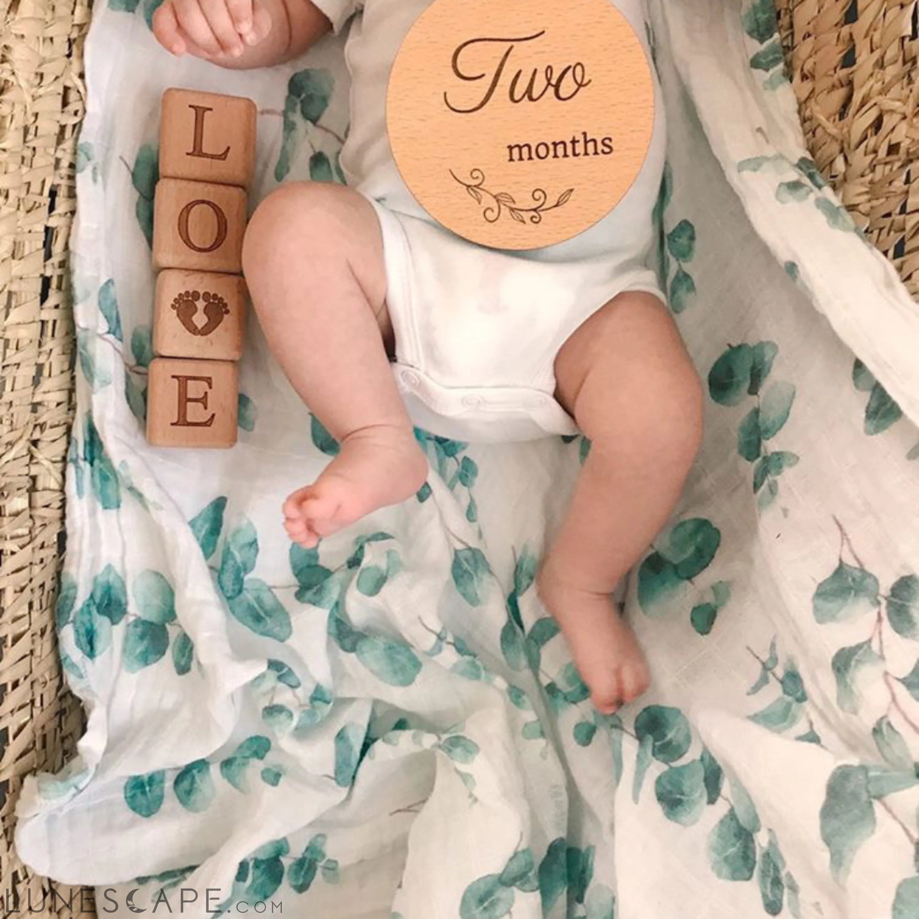 Muslin Swaddle Baby Blanket X-Large 120x120cm Eucalyptus LUNESCAPE