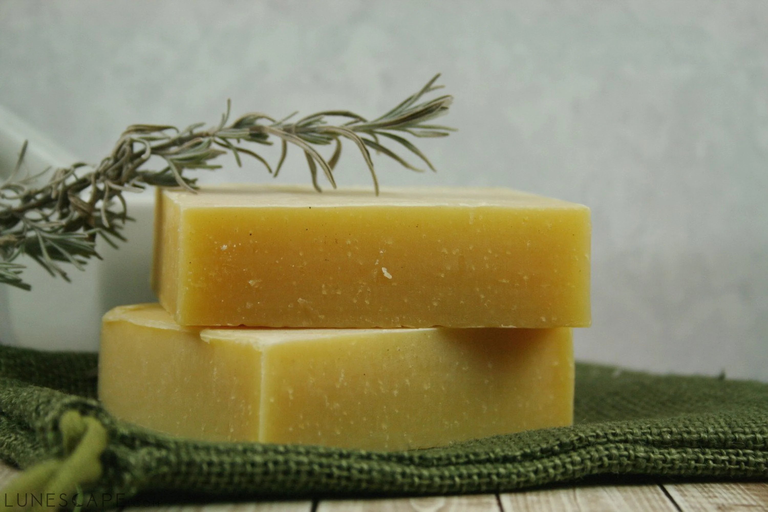 Natural Campers Shampoo & Body Bar - Insect LUNESCAPE