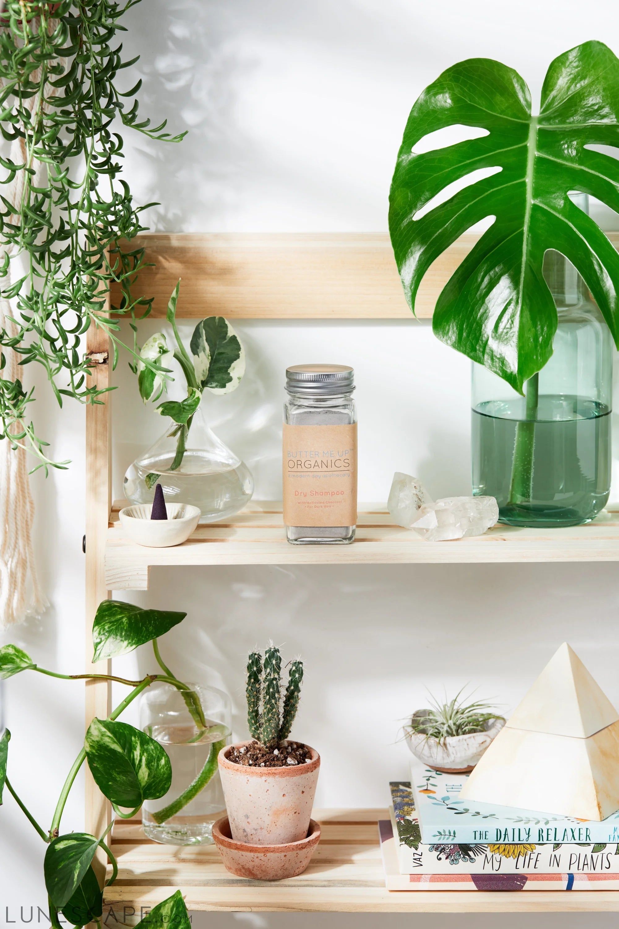 Natural Organic Dry Shampoo No Butane LUNESCAPE