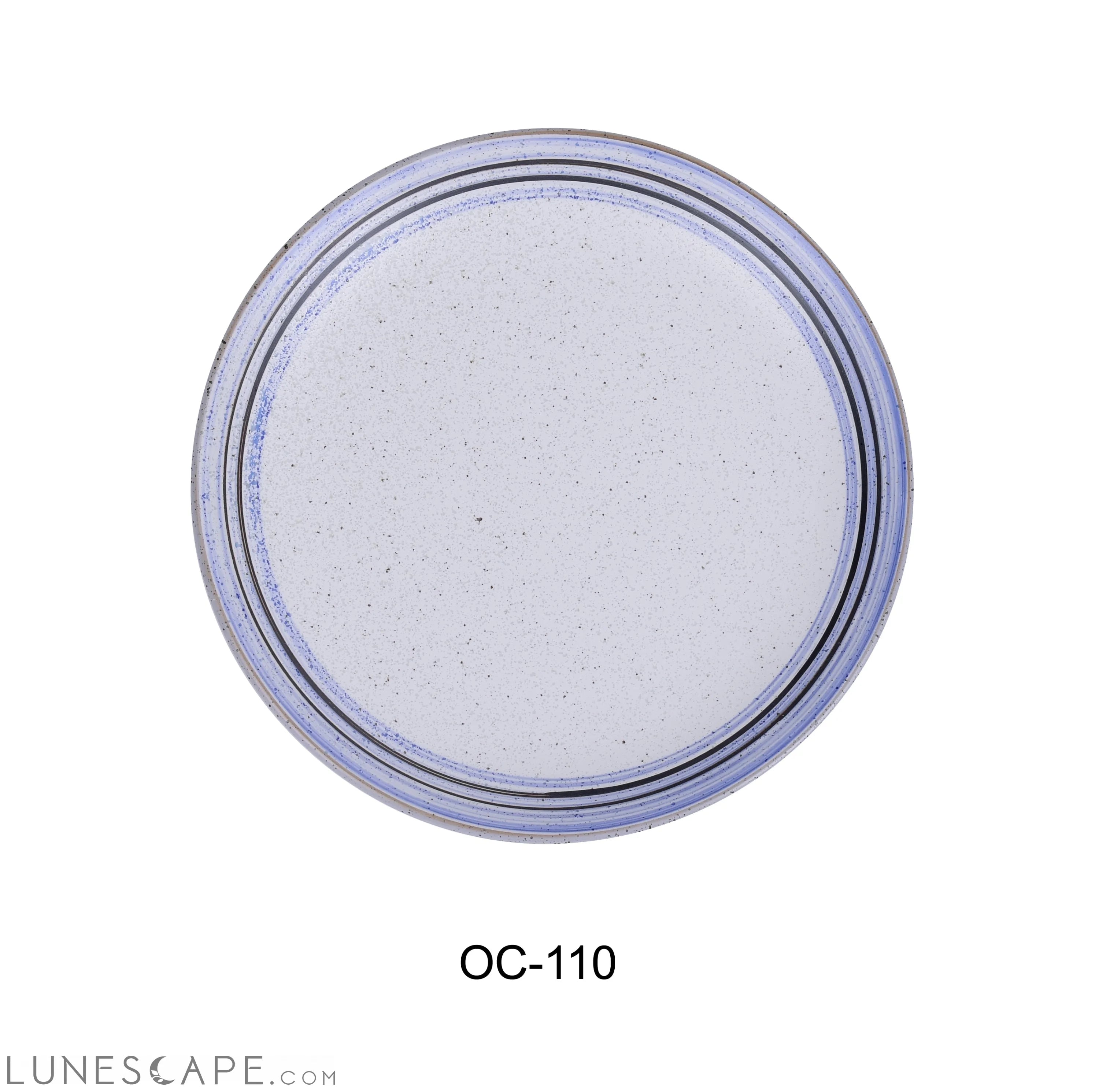 Ocean 10 1/2" X 1" COUPE Dinner PLATE LUNESCAPE